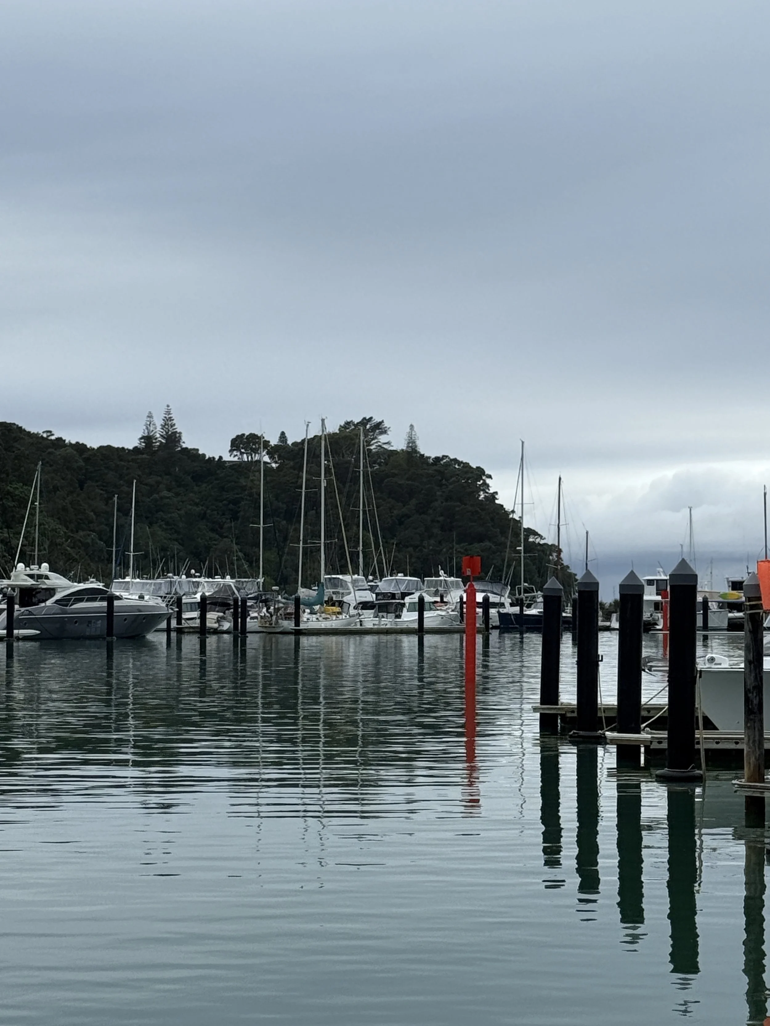 Question on the 6 or 1 rule for boats with alternative antifoul&nbsp;