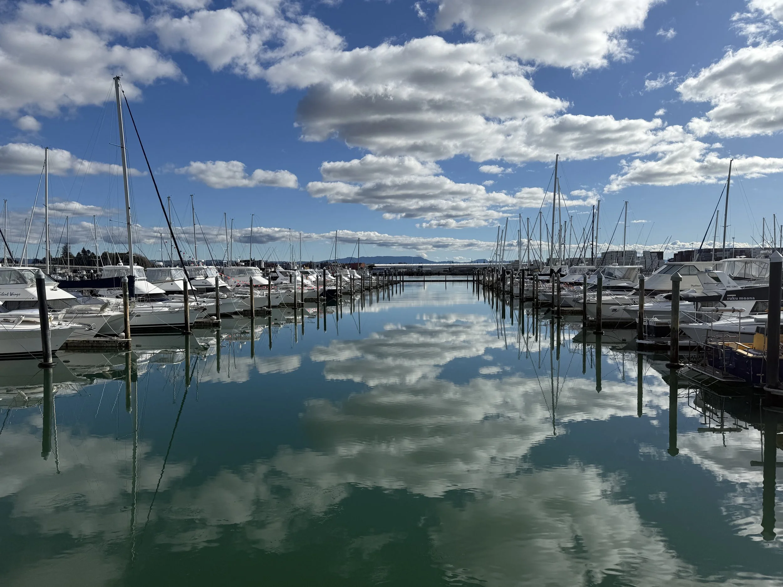 Good news from summer marine pest surveys