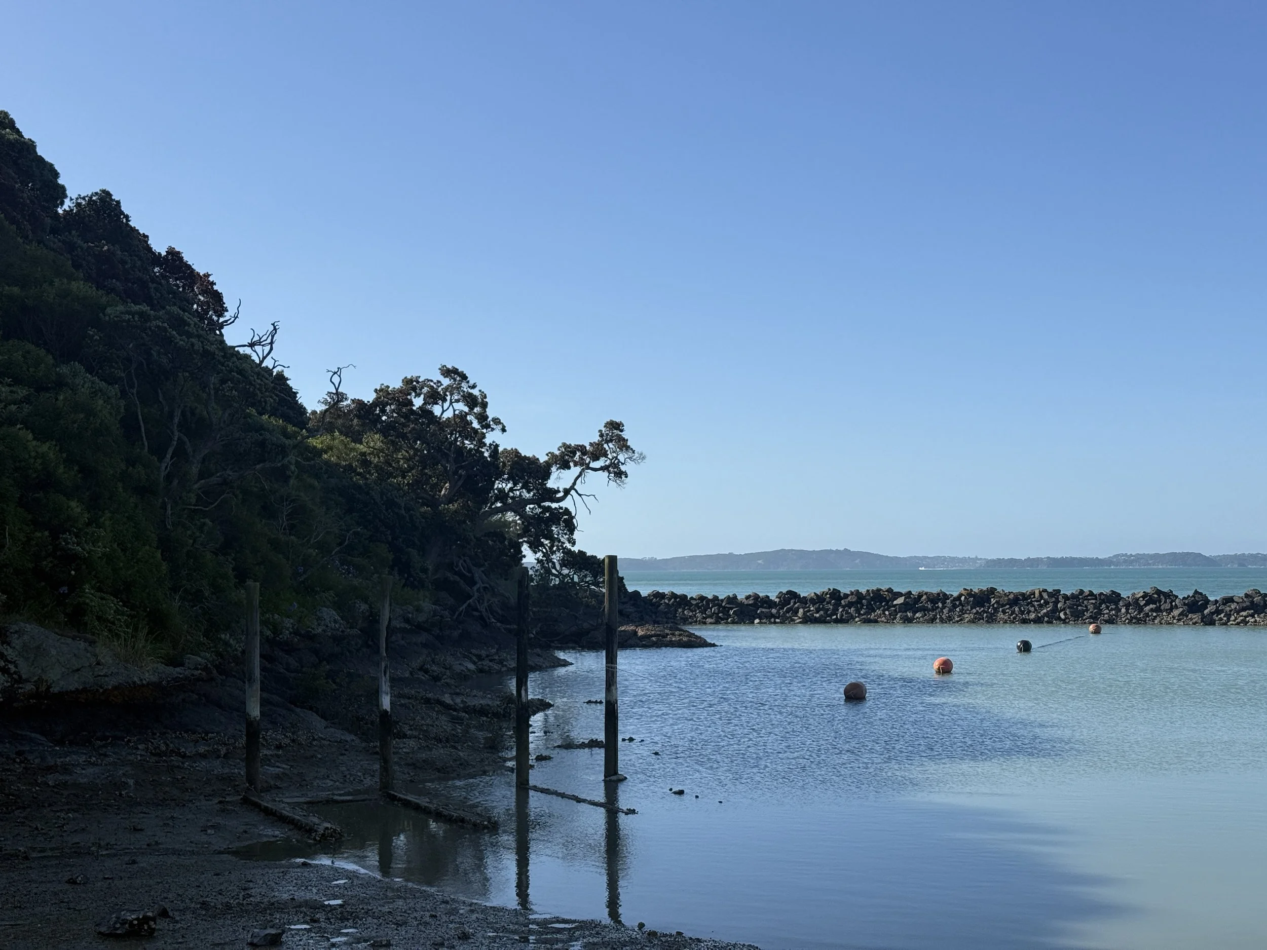 What work can we do on tidal grids? 