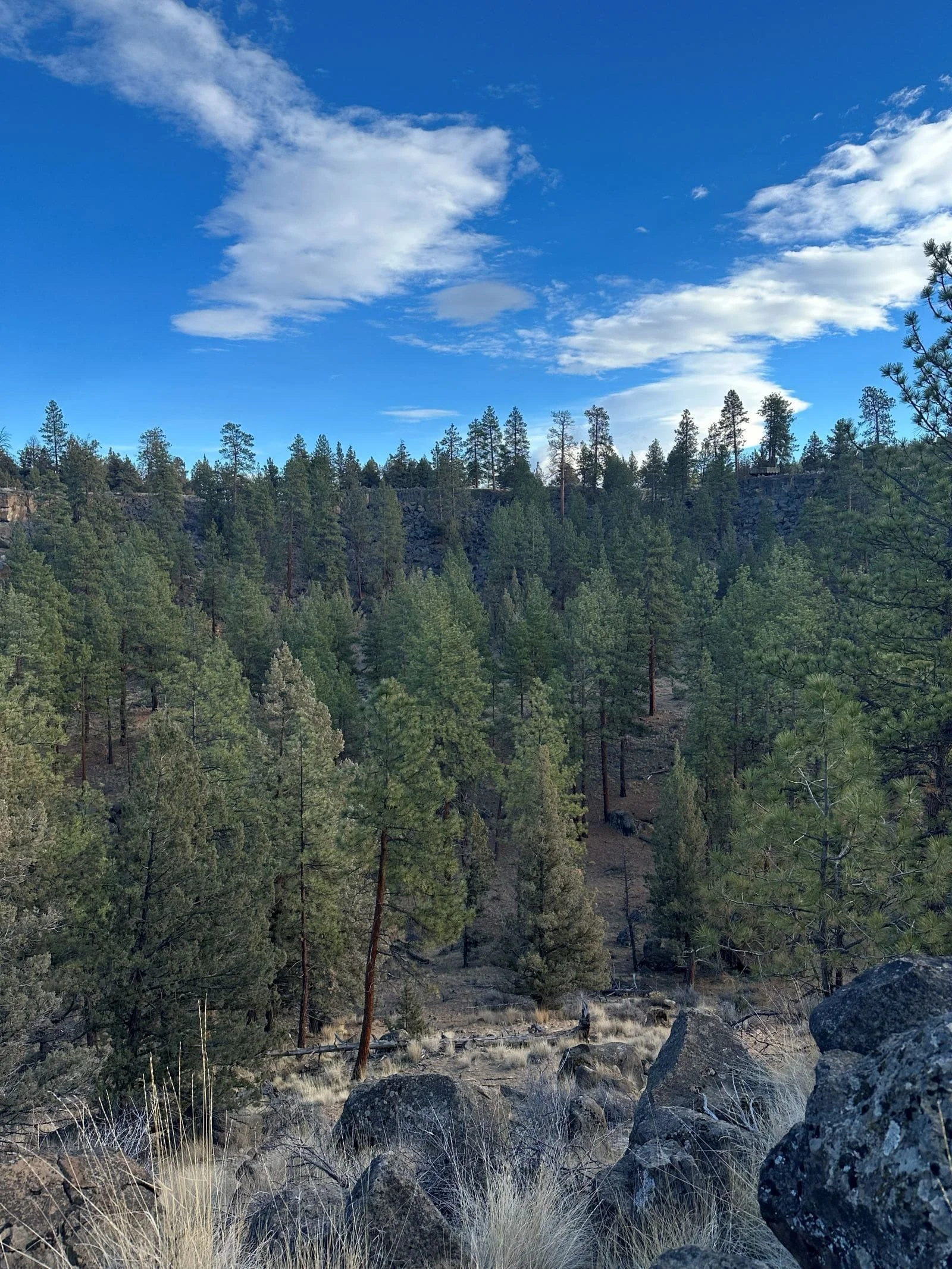 Bend Oregon Landscape