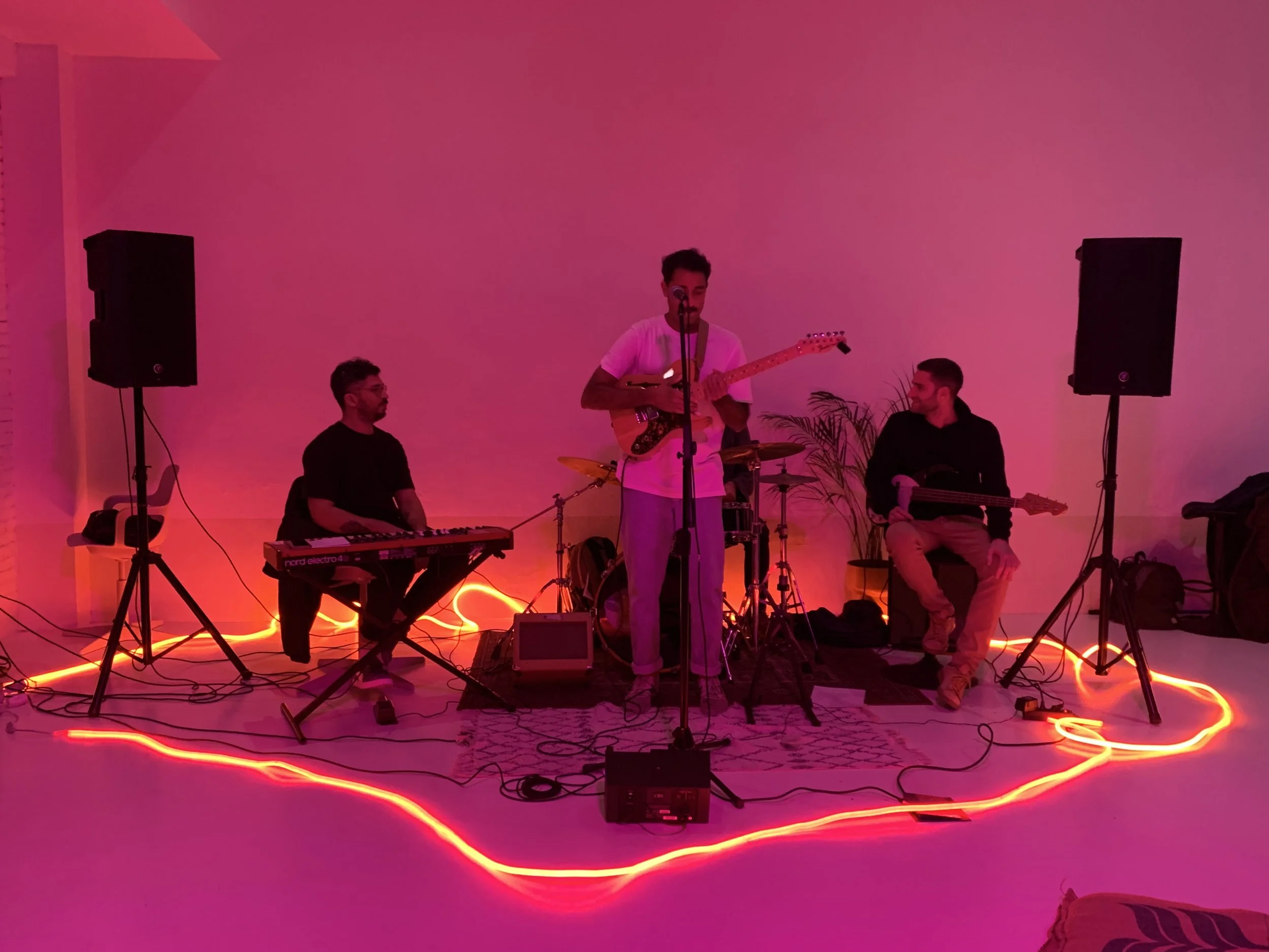 Presentación musical en vivo