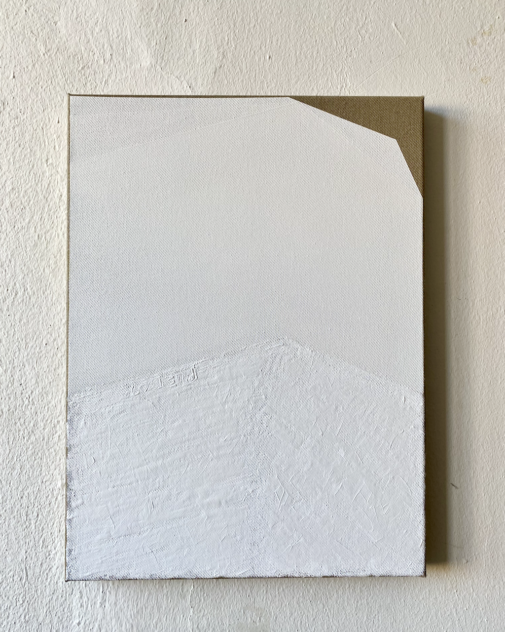 wer weiß wall view, 2025, 54 x 40 cm, oil and acrylic on canvas
