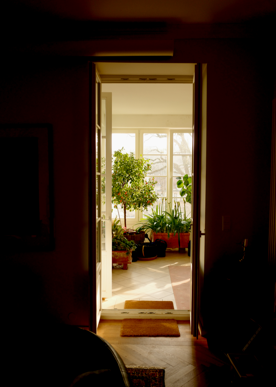 View through an open door into a sunlit indoor garden with potted plants, trees, and large windows.
