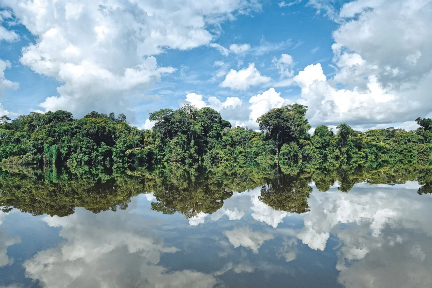 Why Salvaterra’s Waterless Skincare Is Better for Your Skin and the Planet