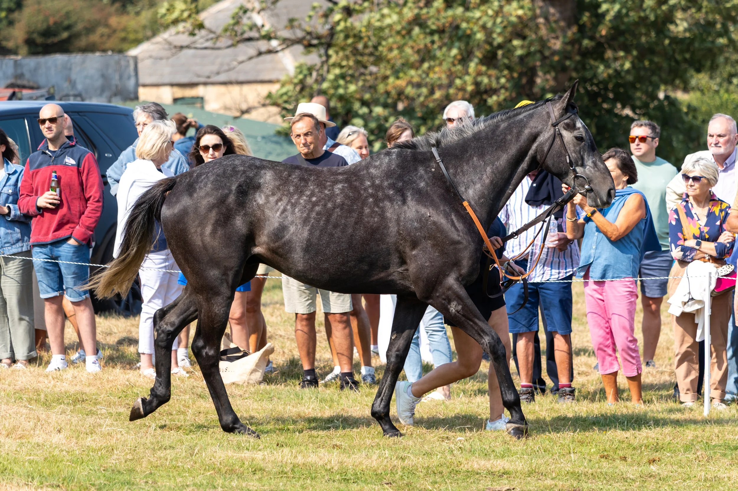 CWR Open Day-39.jpg