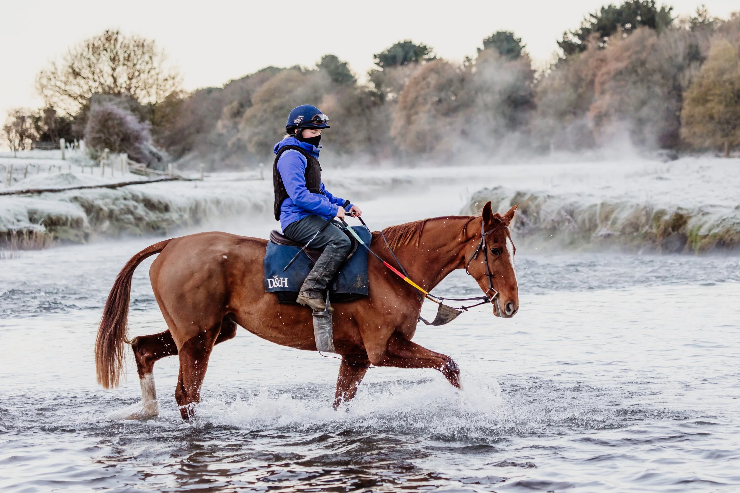 CWR November 2025-003.jpg