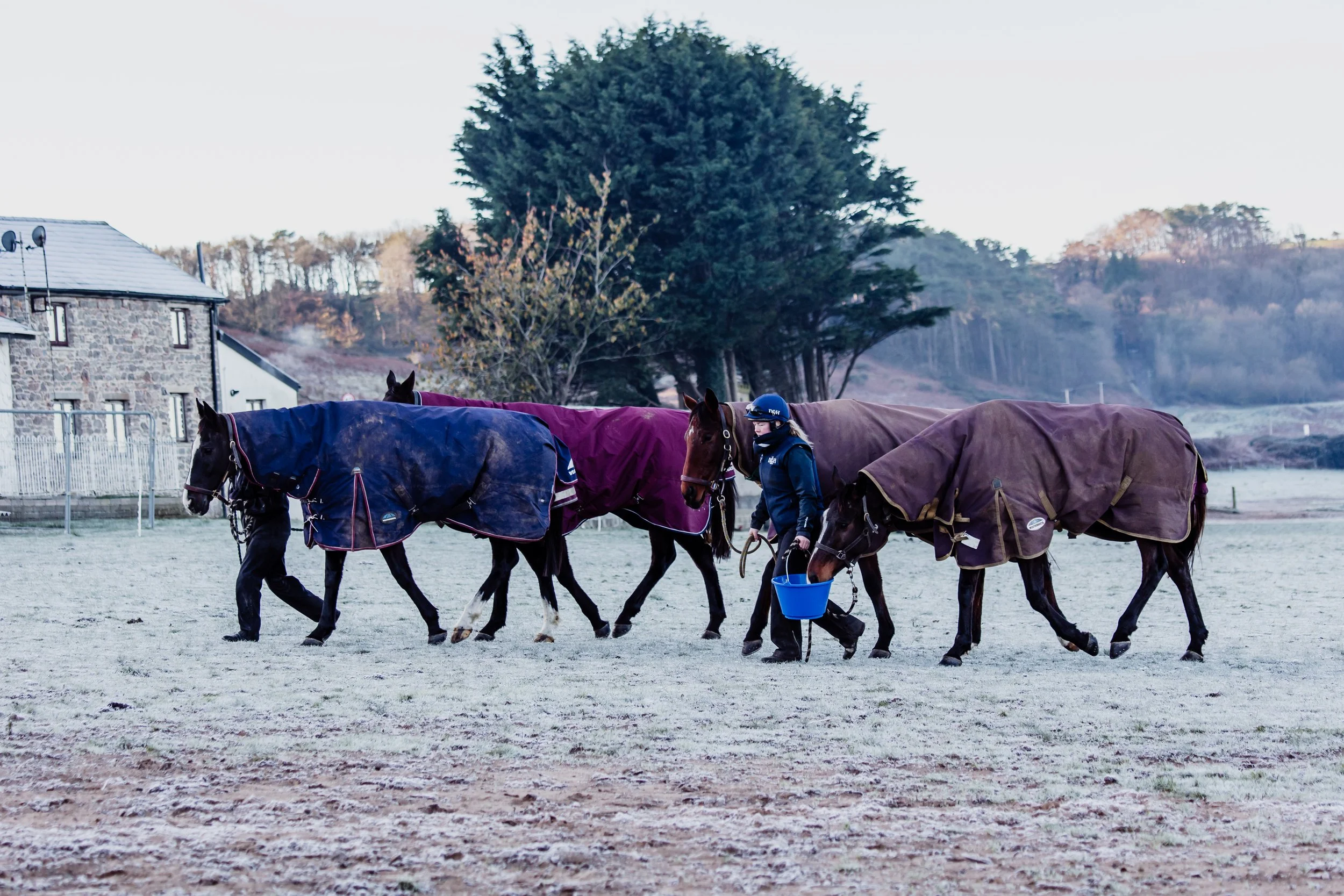 CWR November 2025-048.jpg