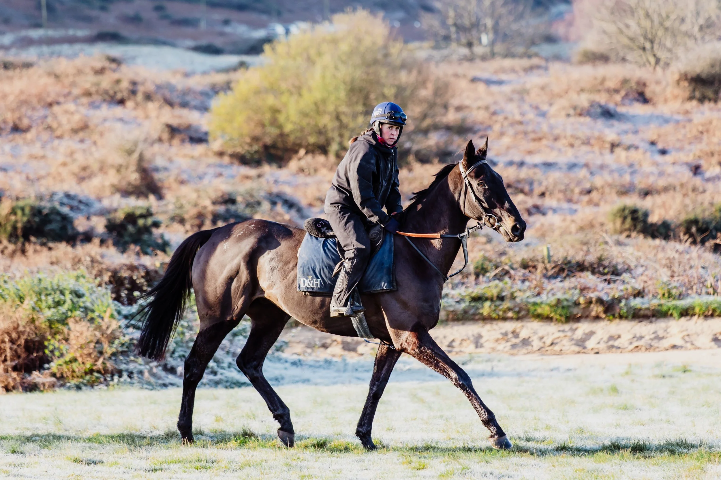 CWR November 2025-076.jpg