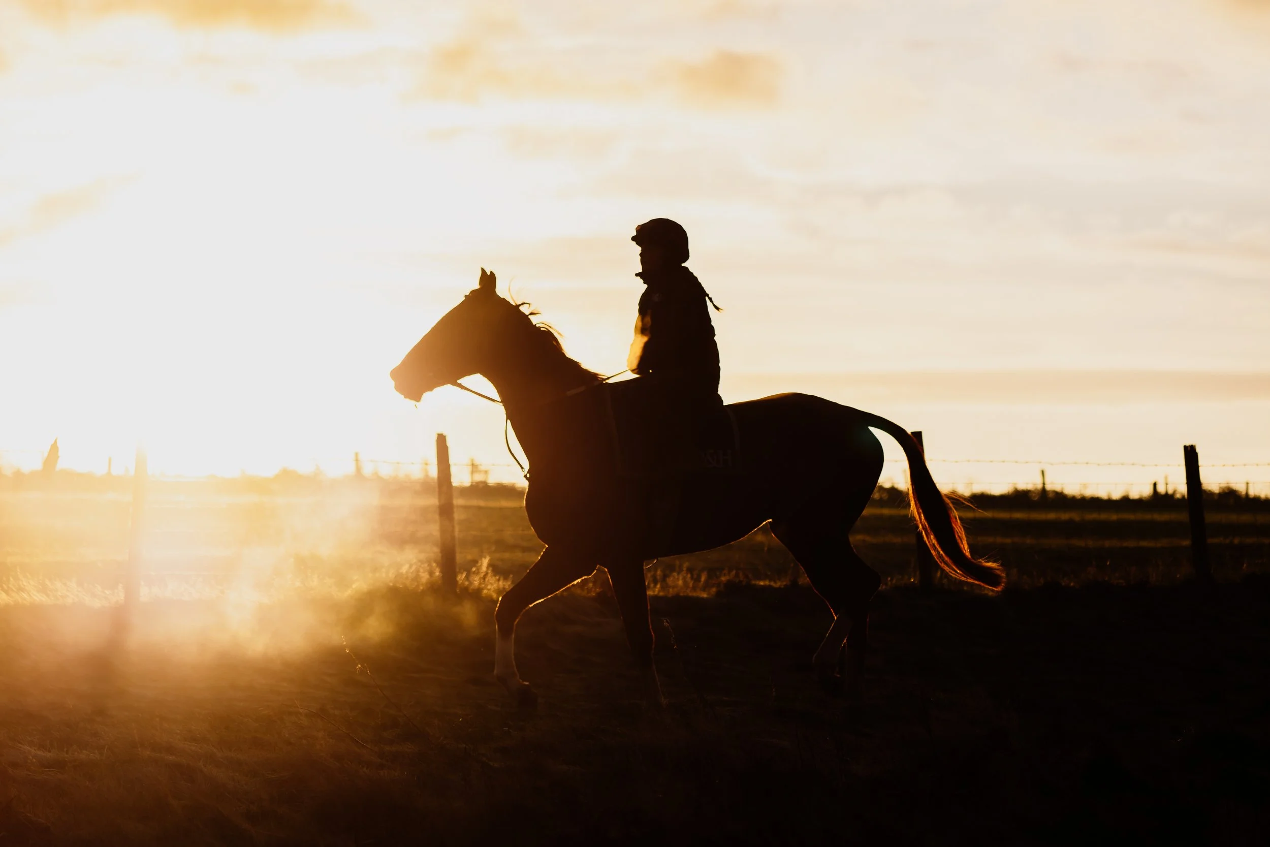 CWR November 2025-155.jpg