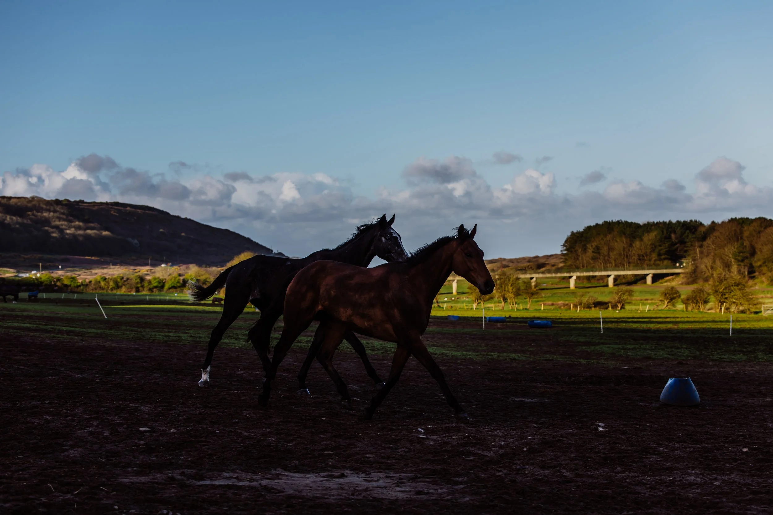 End March 2026-88.jpg