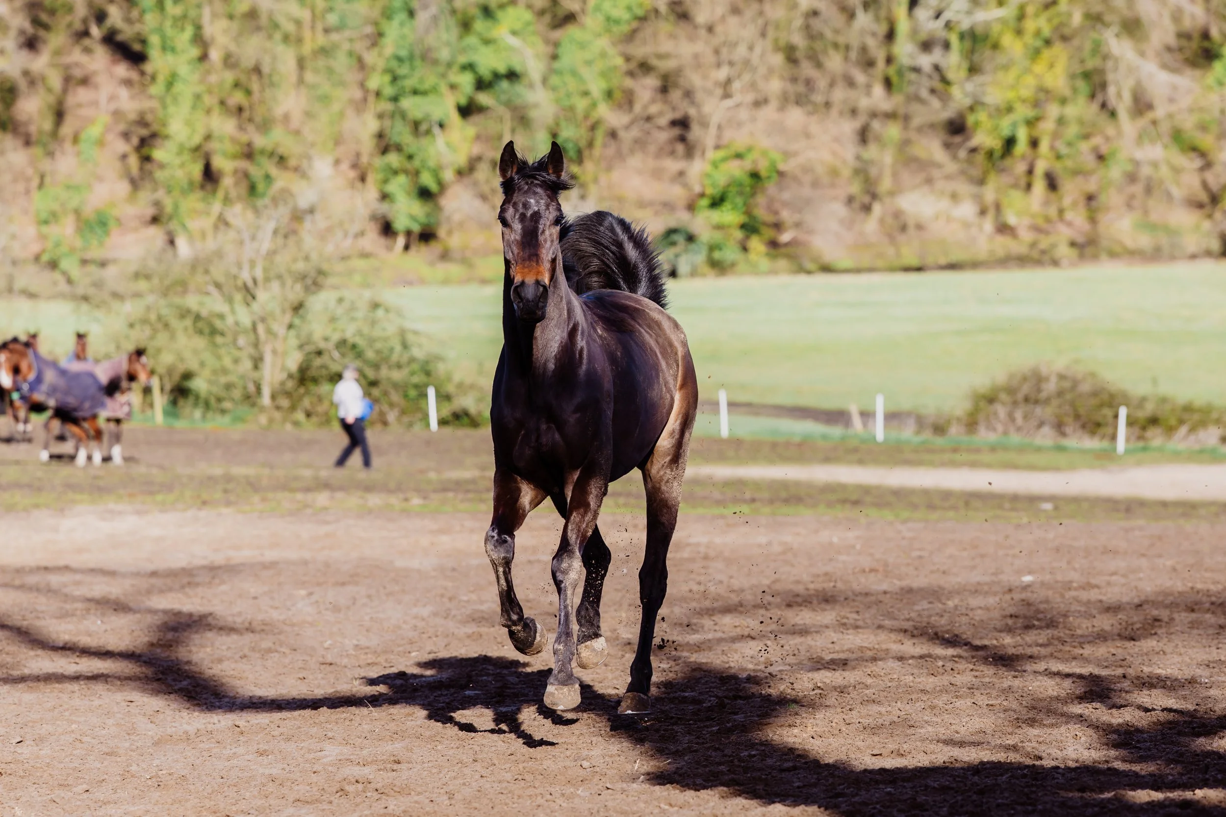 End March 2026-73.jpg