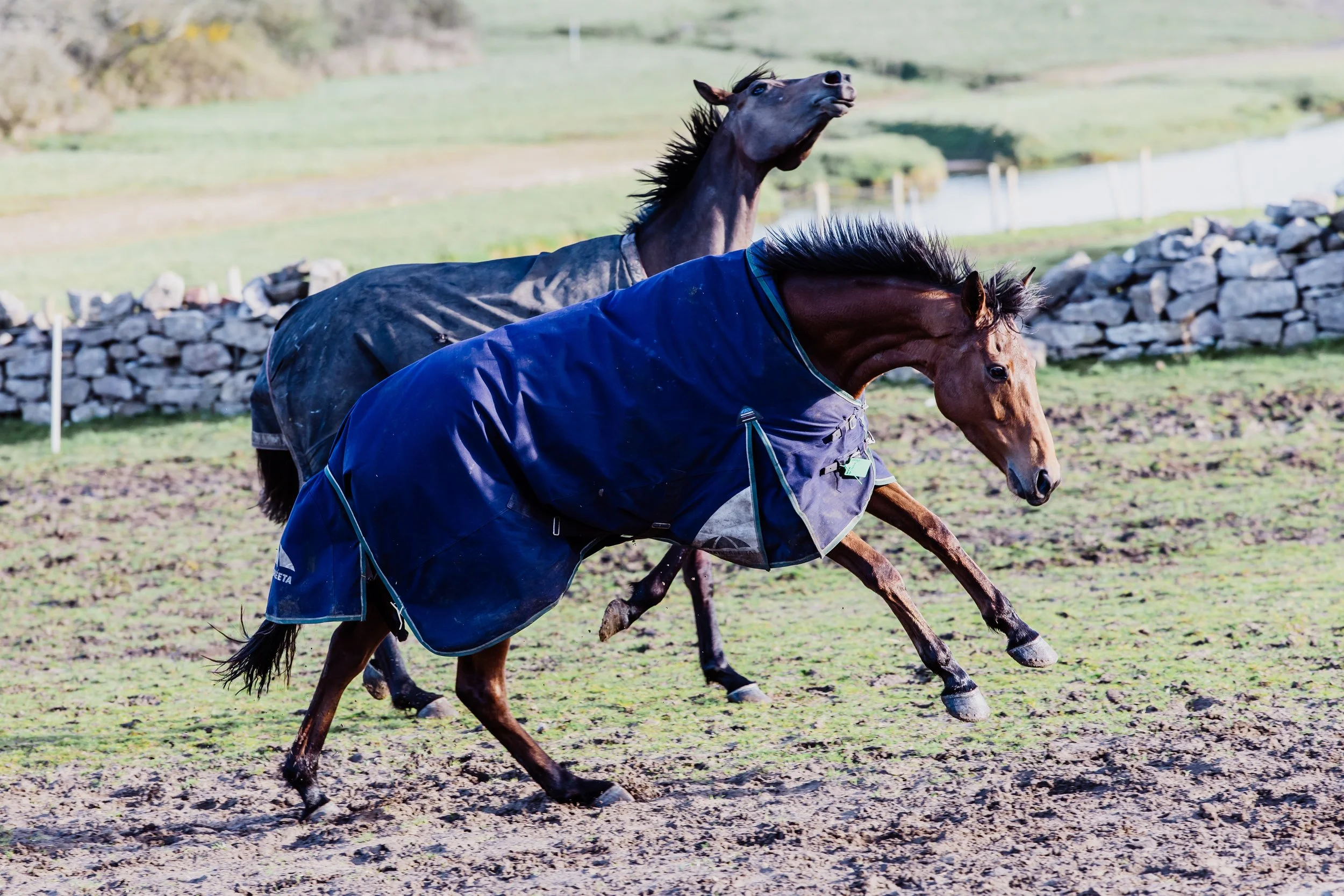 End March 2026-68.jpg