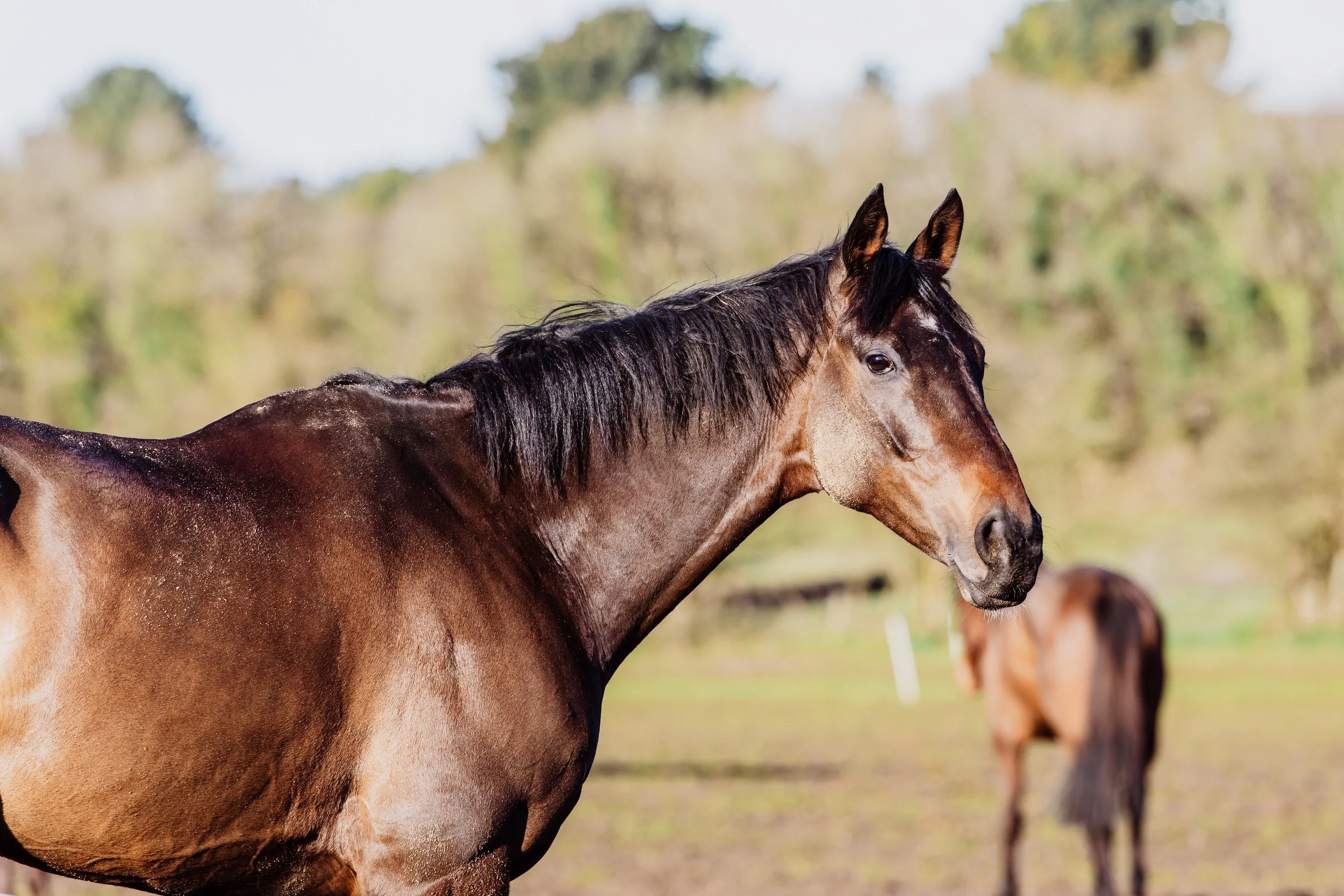 End March 2026-82.jpg