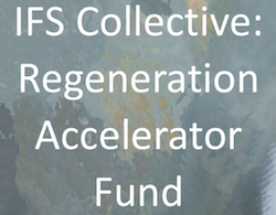 IFS+Collective+Regeneration+Accelerator+Fund.png