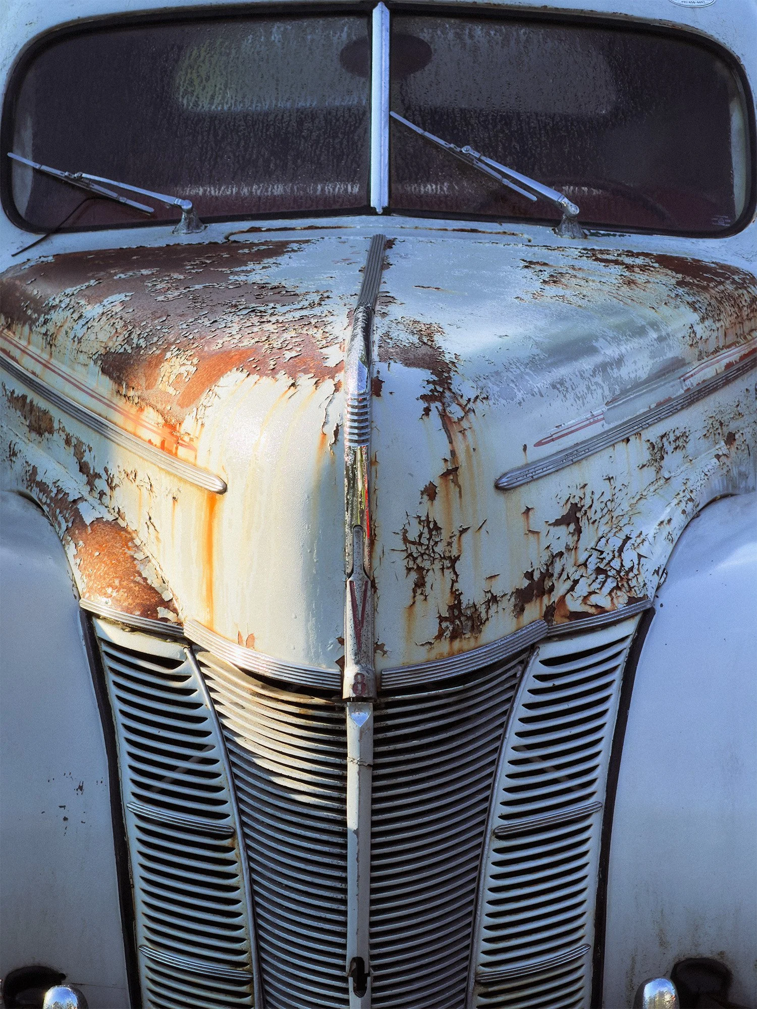 Rusted hood and grille of a 1940 Ford Deluxe - image by Reed Pike