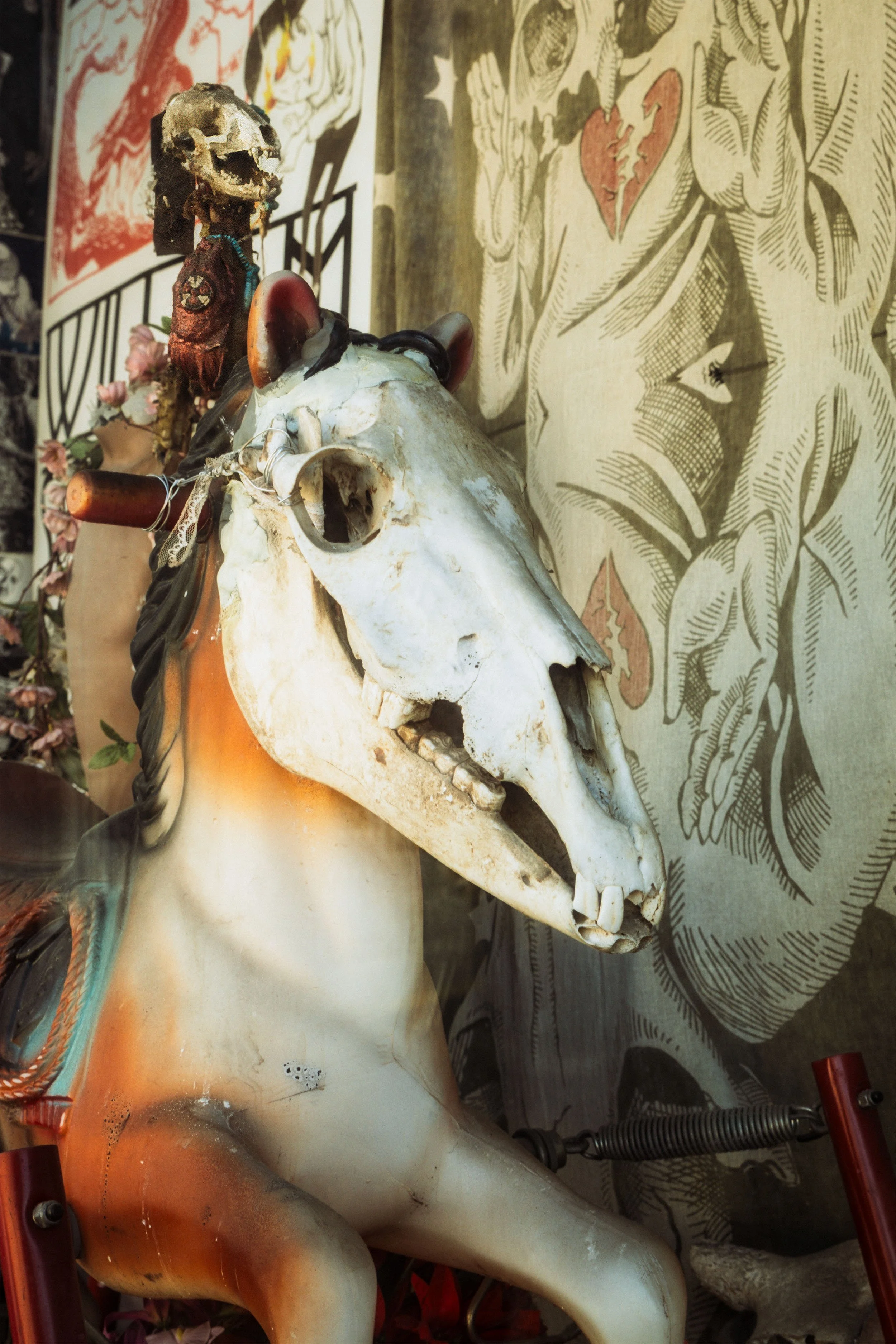 Image of a hobby horse with a skeleton head in a store window.