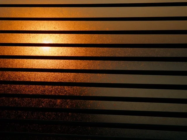 Sunrise thought the blinds and condensation on our front window.