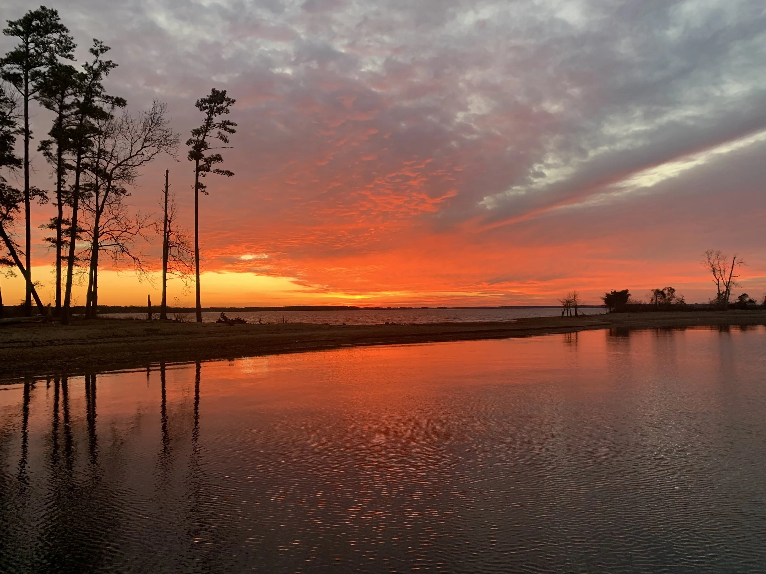 Taken, Blessed, Broken, Given