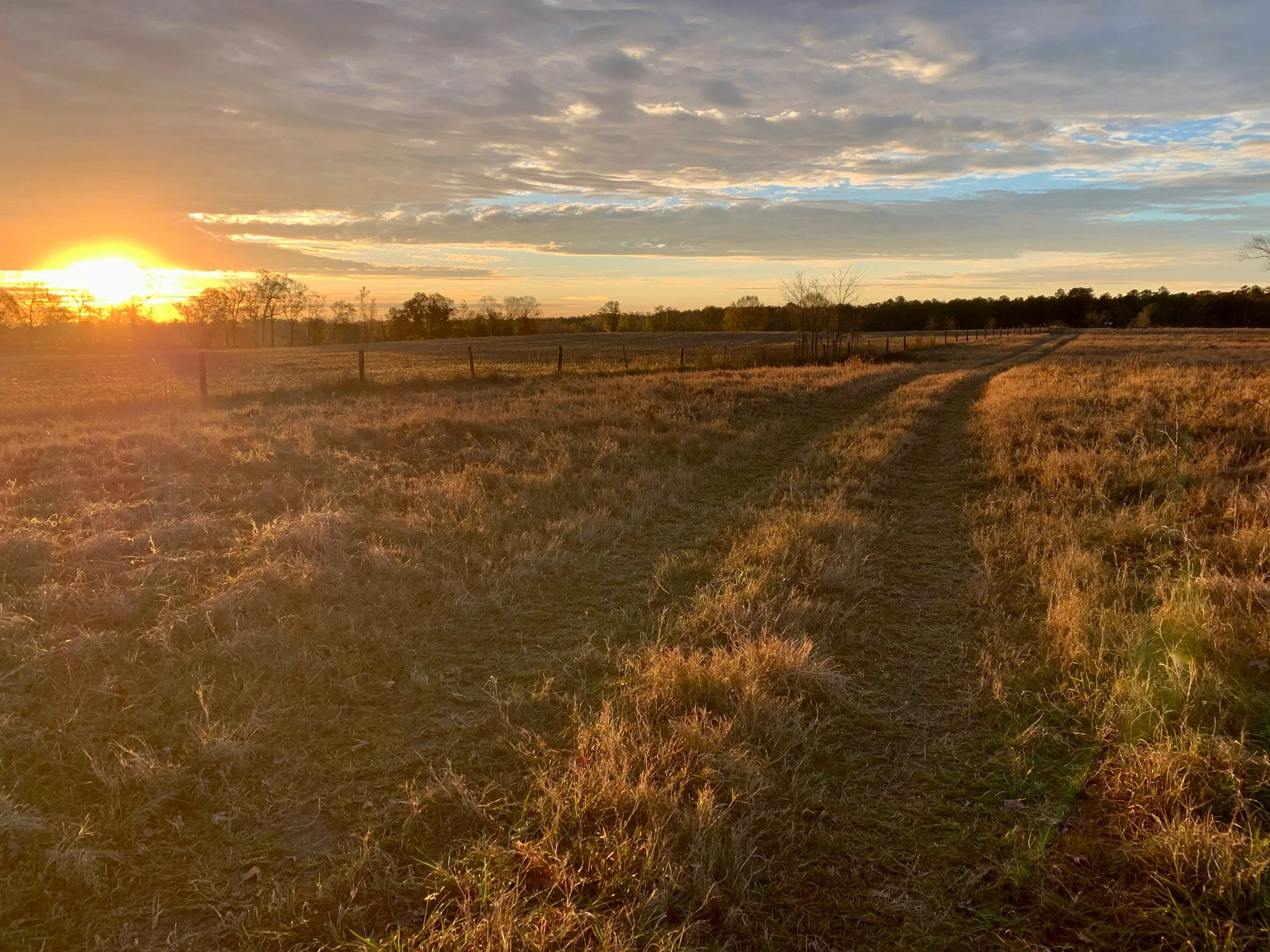 A New Year to Behold