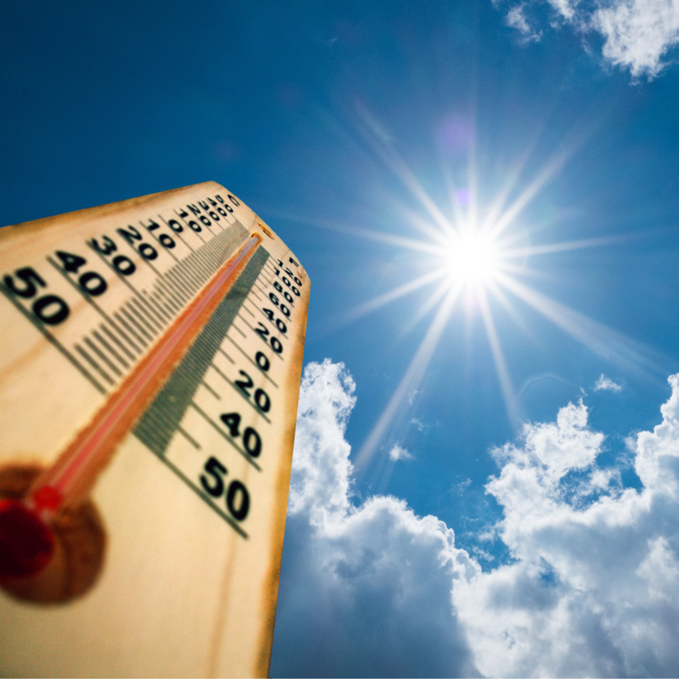 June 2026 Bulletin