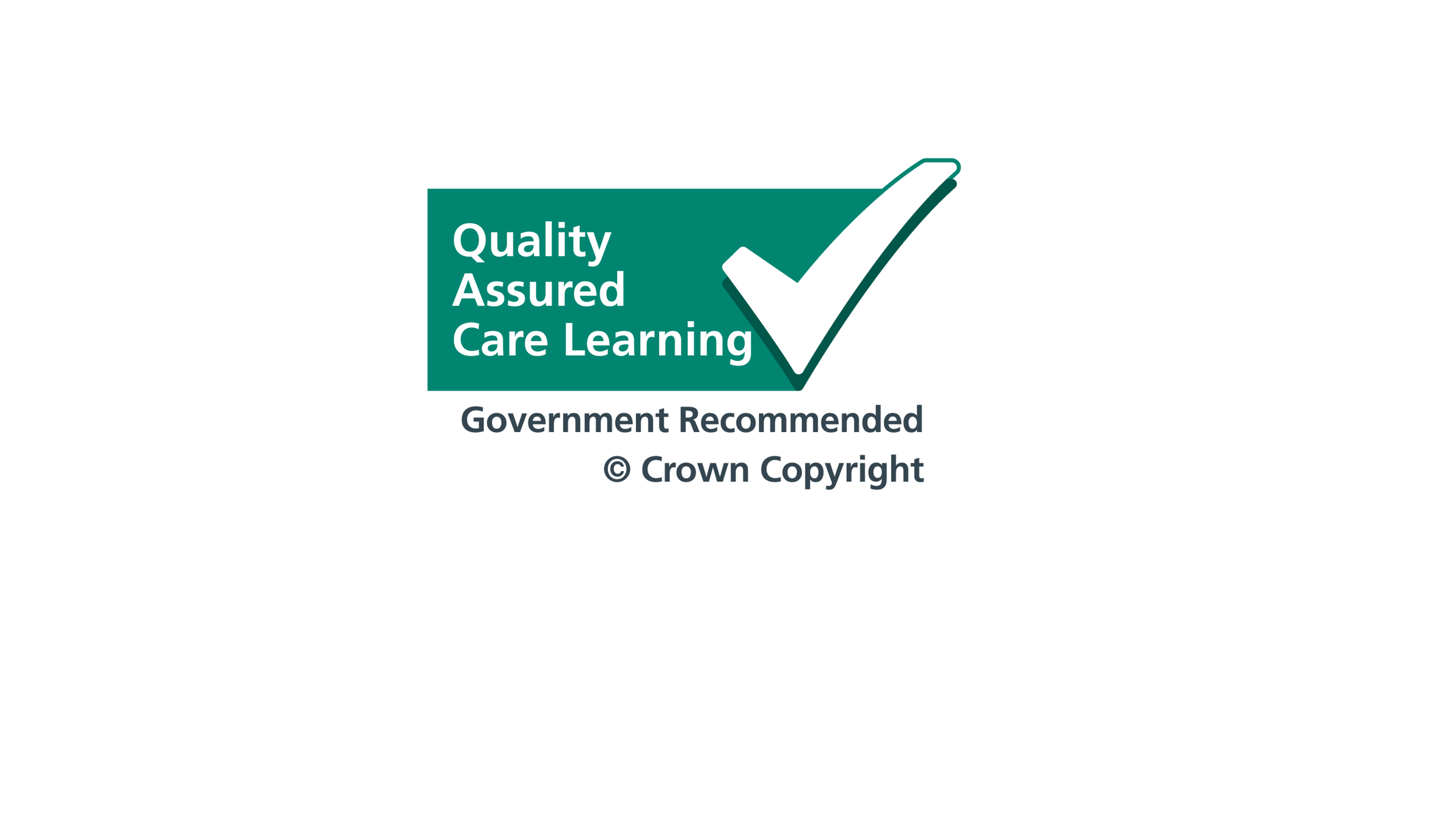 Skills for Care webiste logo 5.png