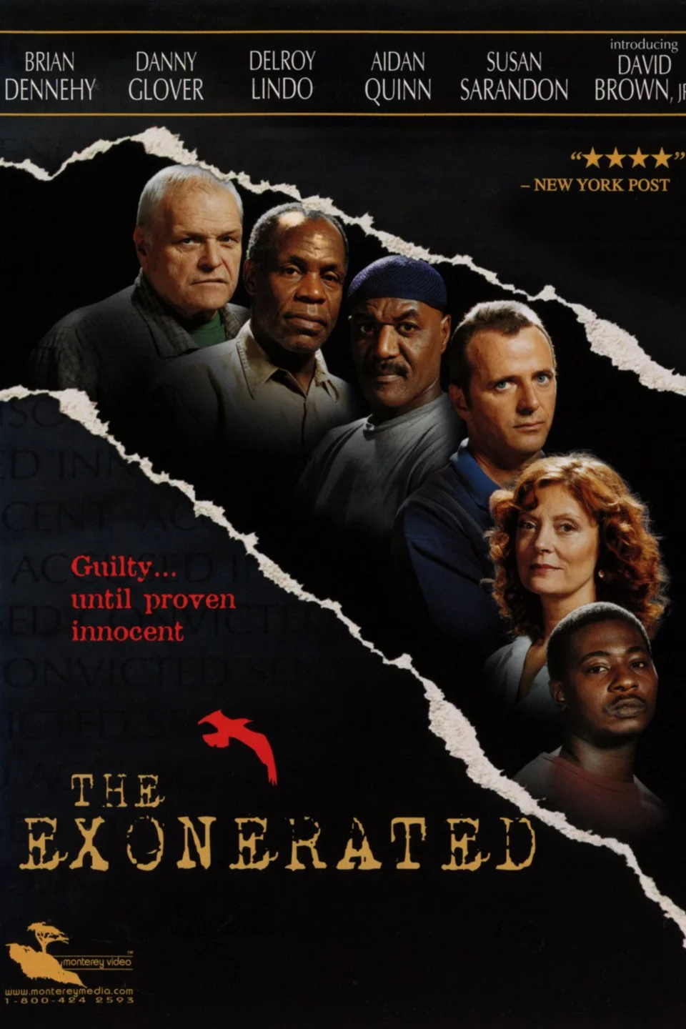 The Exonerated 2.jpeg