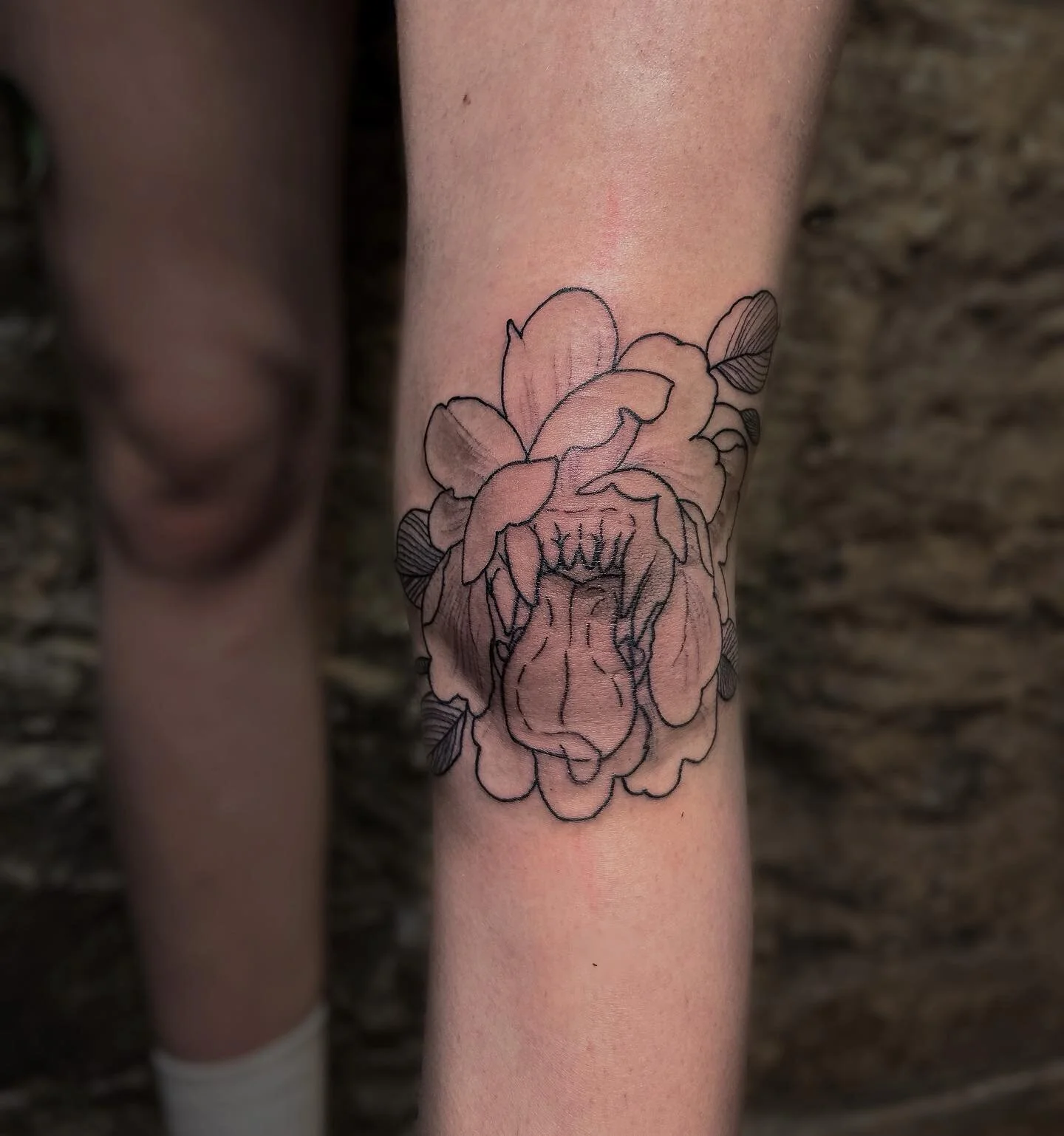 IN PROGRESS

A dark art tale upon Mia's knee. ✨

@loversdentattoo 

______________

🌙✖️🌙⁣
⁣#tattoo #tattoos #ink #inked #art #tattooartist #tattooed #tattooart #finelinetattoo #ballarattattoos #ballarat #artballarat #tattoosballarat #sydneyfineline