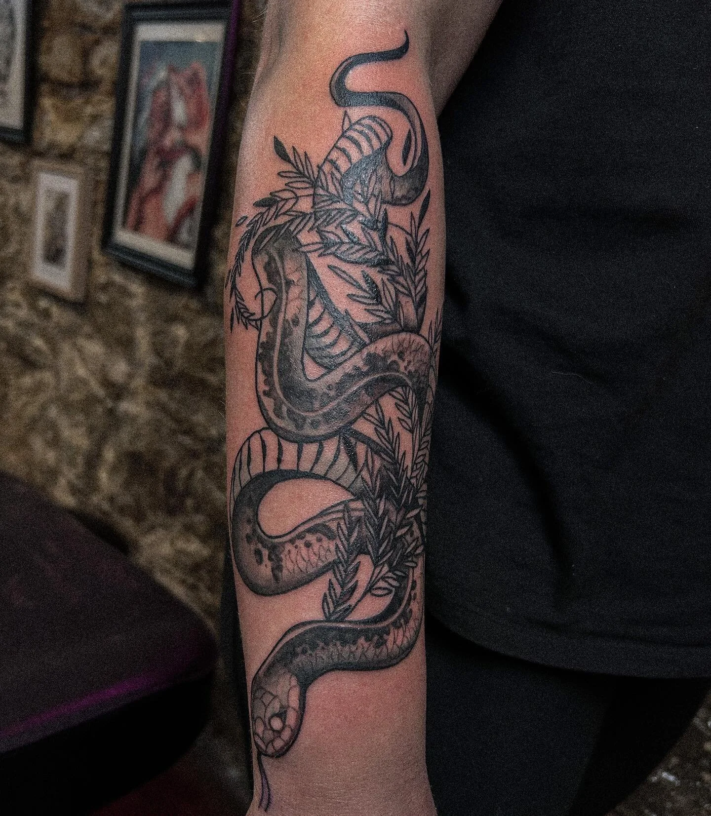 I had to re-upload this one because IG deleted my 2nd photo. ✌🏻

&ldquo;Serpent coiled amidst ferns. 💗

Together, the snake and fern form a striking juxtaposition, a symbol of the eternal dance between predator and prey, life and death, growth and 