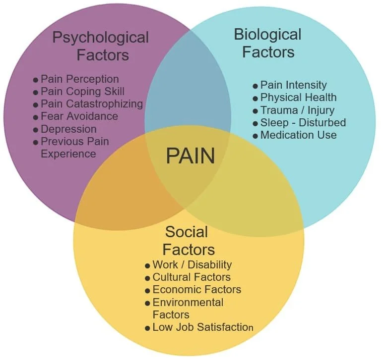 Venn Diagram of Pain