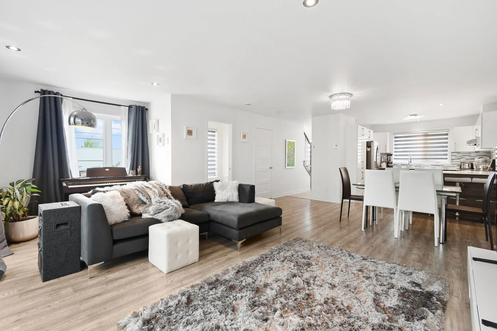 526 Papineau - Salon