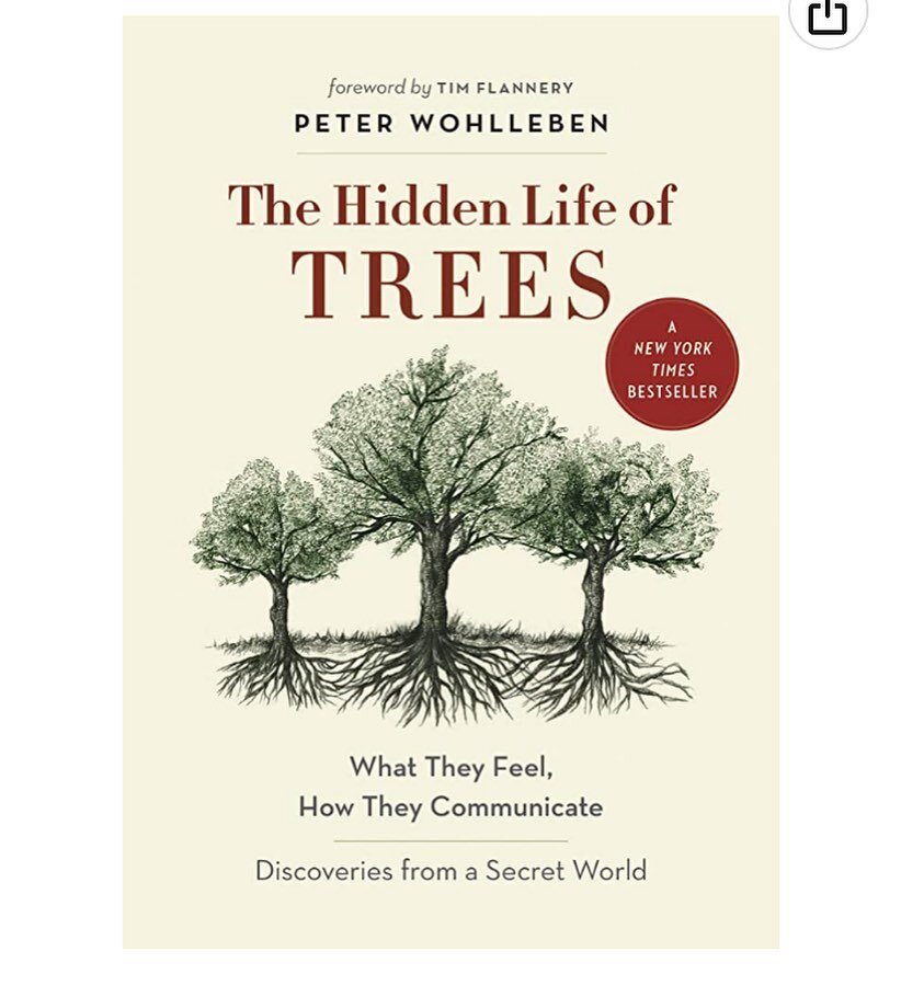 I think most people that would love this book has read this book,  but if you haven&rsquo;t&hellip;it&rsquo;s waiting for you. 

#earthmonth #earthmonth2023 #climatechange #forests #trees #treecommunication #regenerativerelationships #bookstagram #na