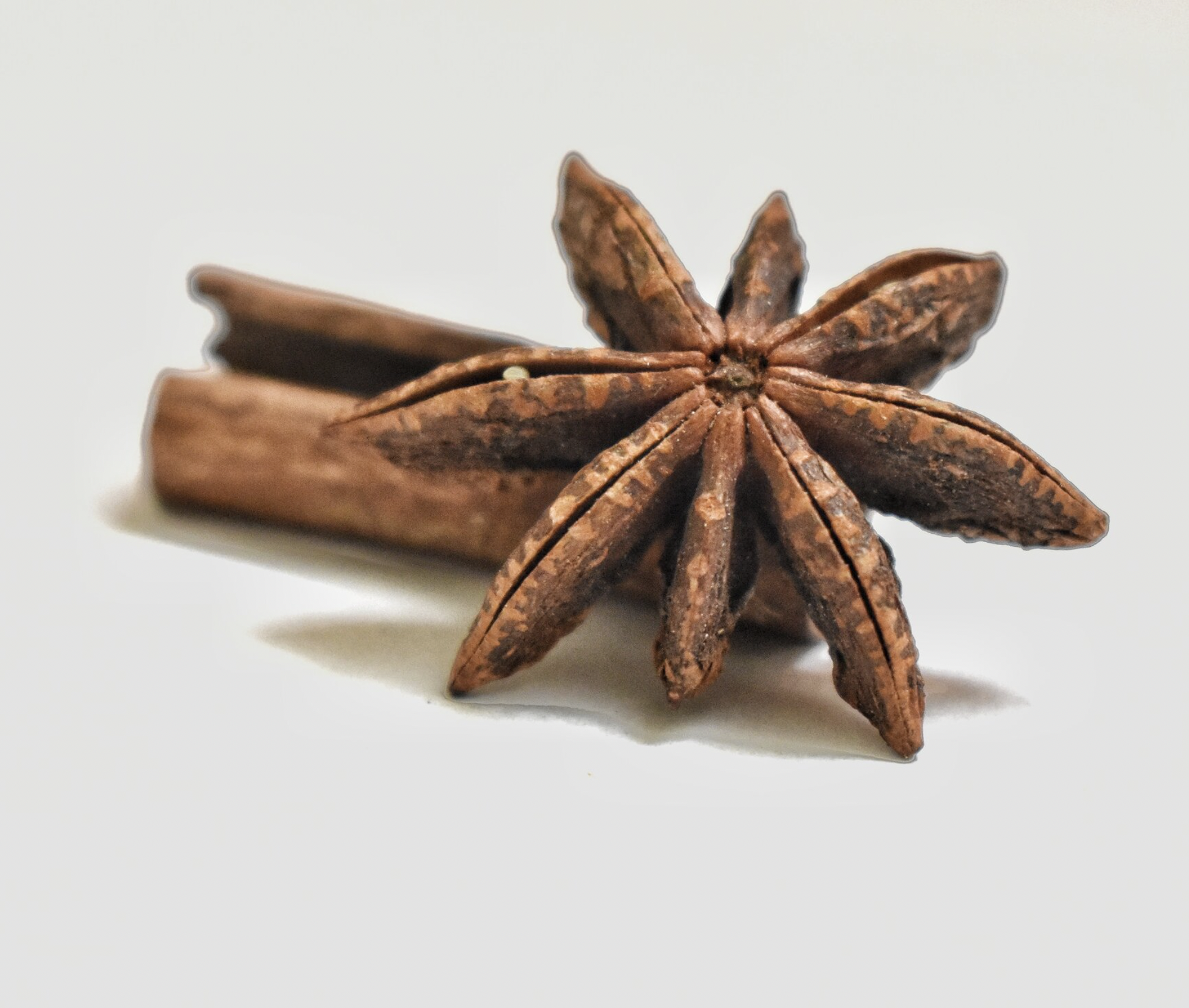 Community Partner: On Pregnancy