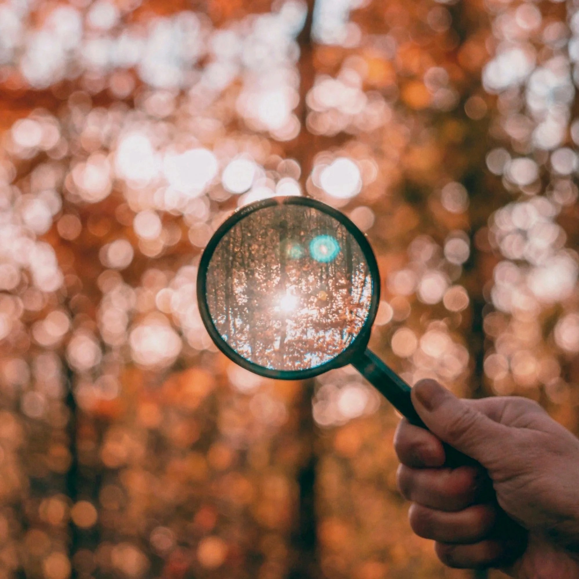 Magnifying glass held up against autumnal trees with dappled light. A metaphor for the investigation of female hormones with the DUTCH test.