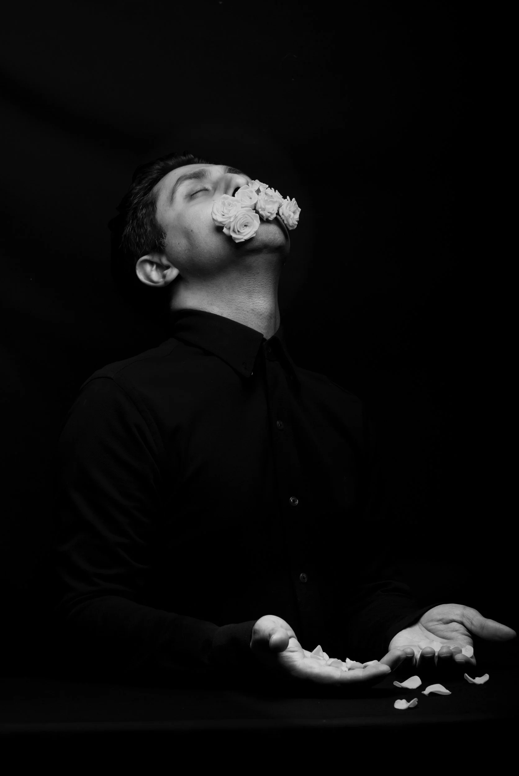 DSC_5322-Edit-2.jpg