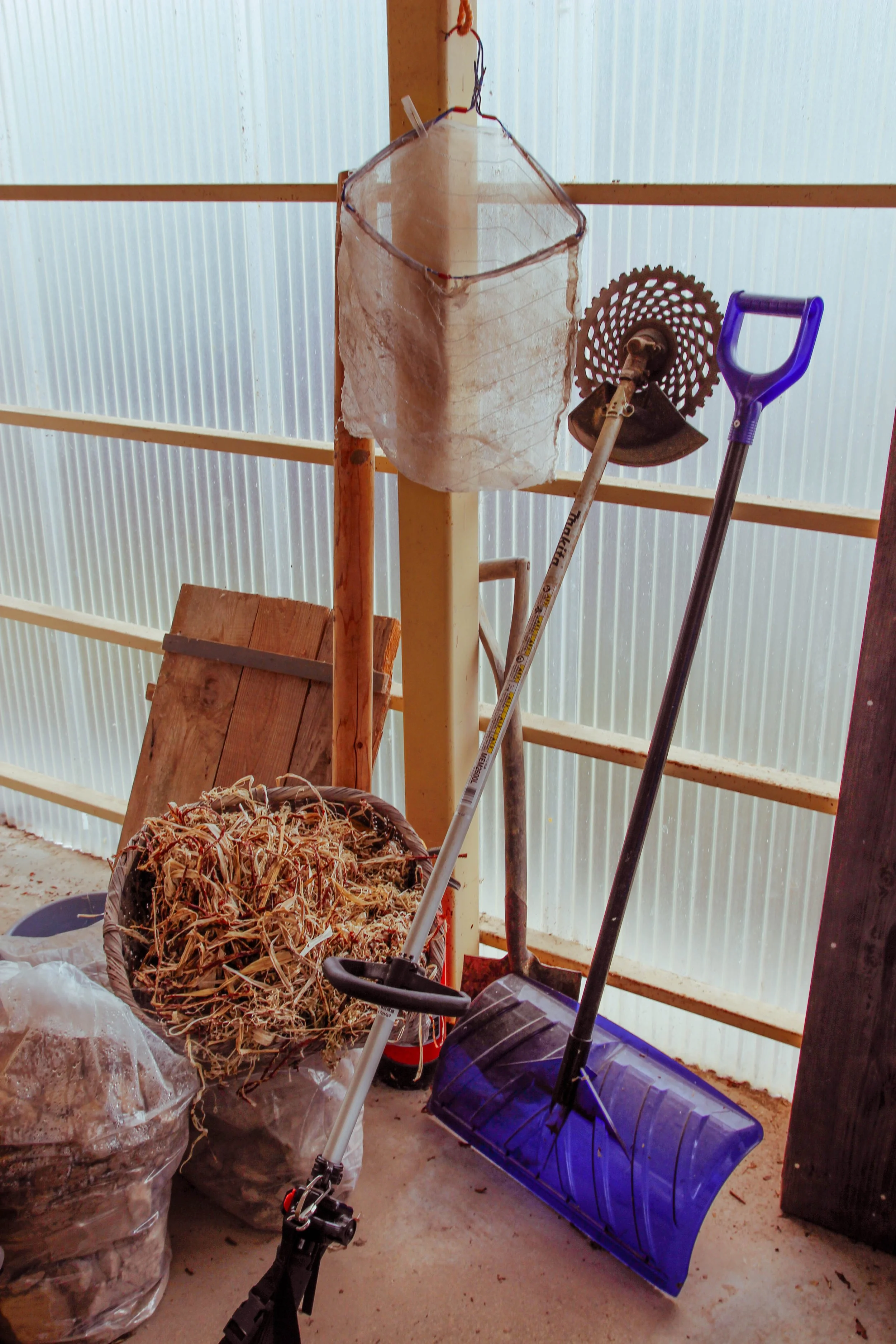 RuizBorys_Julia-4 2.jpg