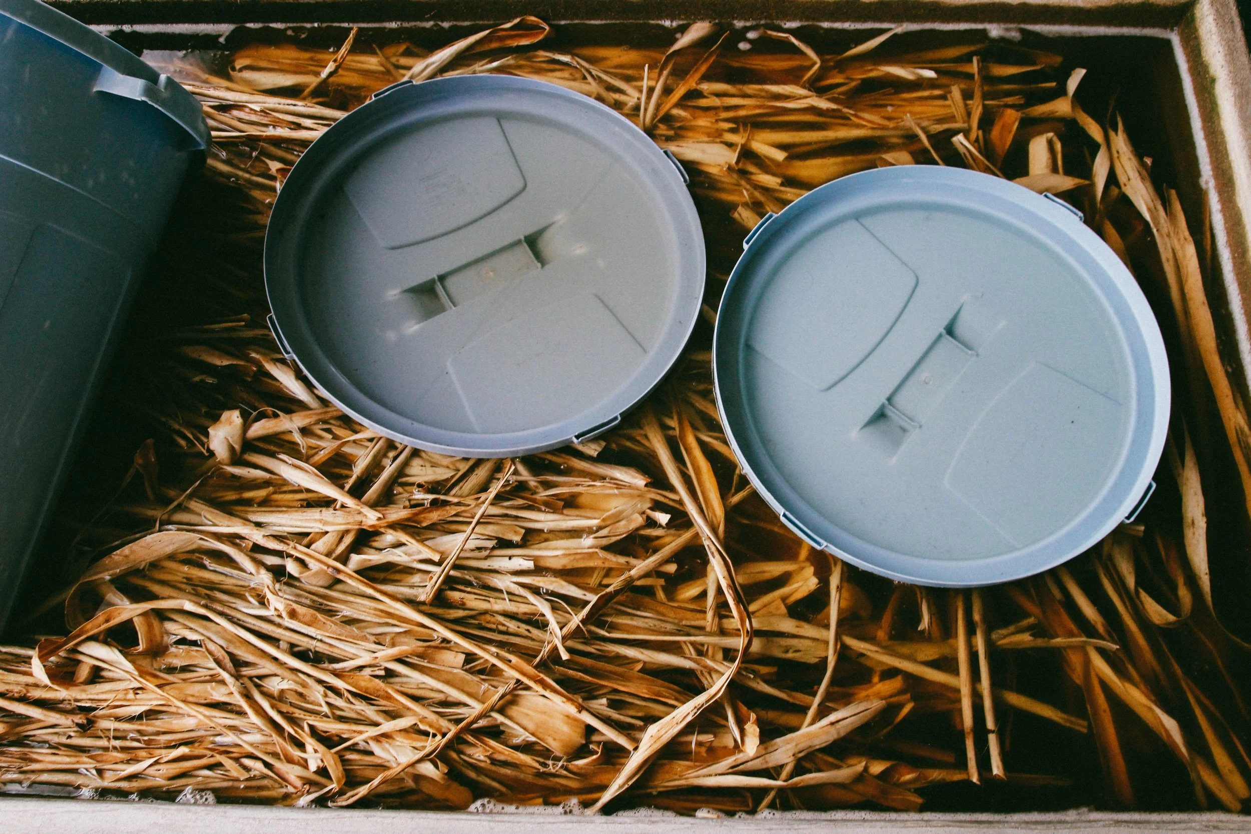 RuizBorys_Julia-5 2.jpg