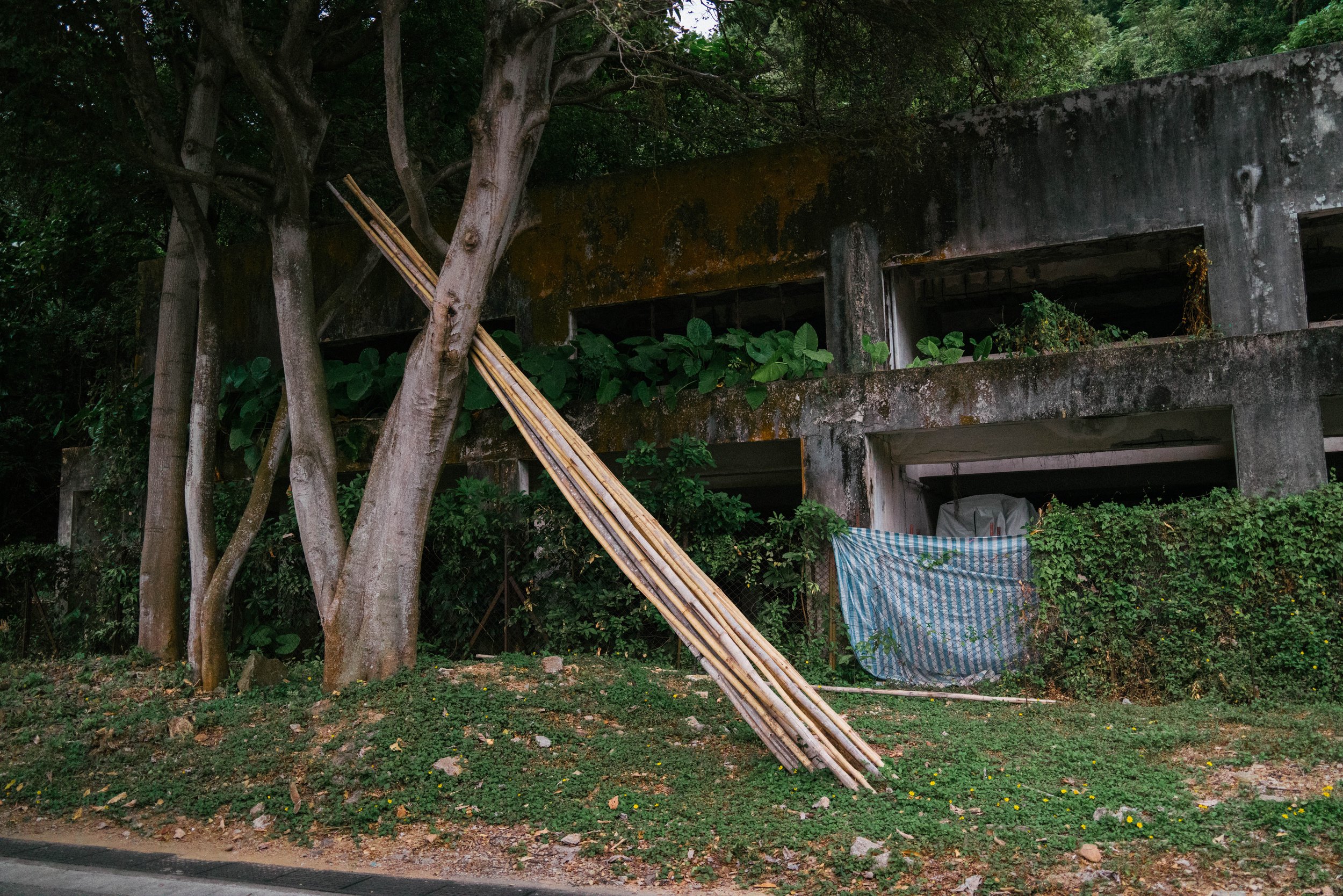 Hong Kong - last weeks-6.jpg