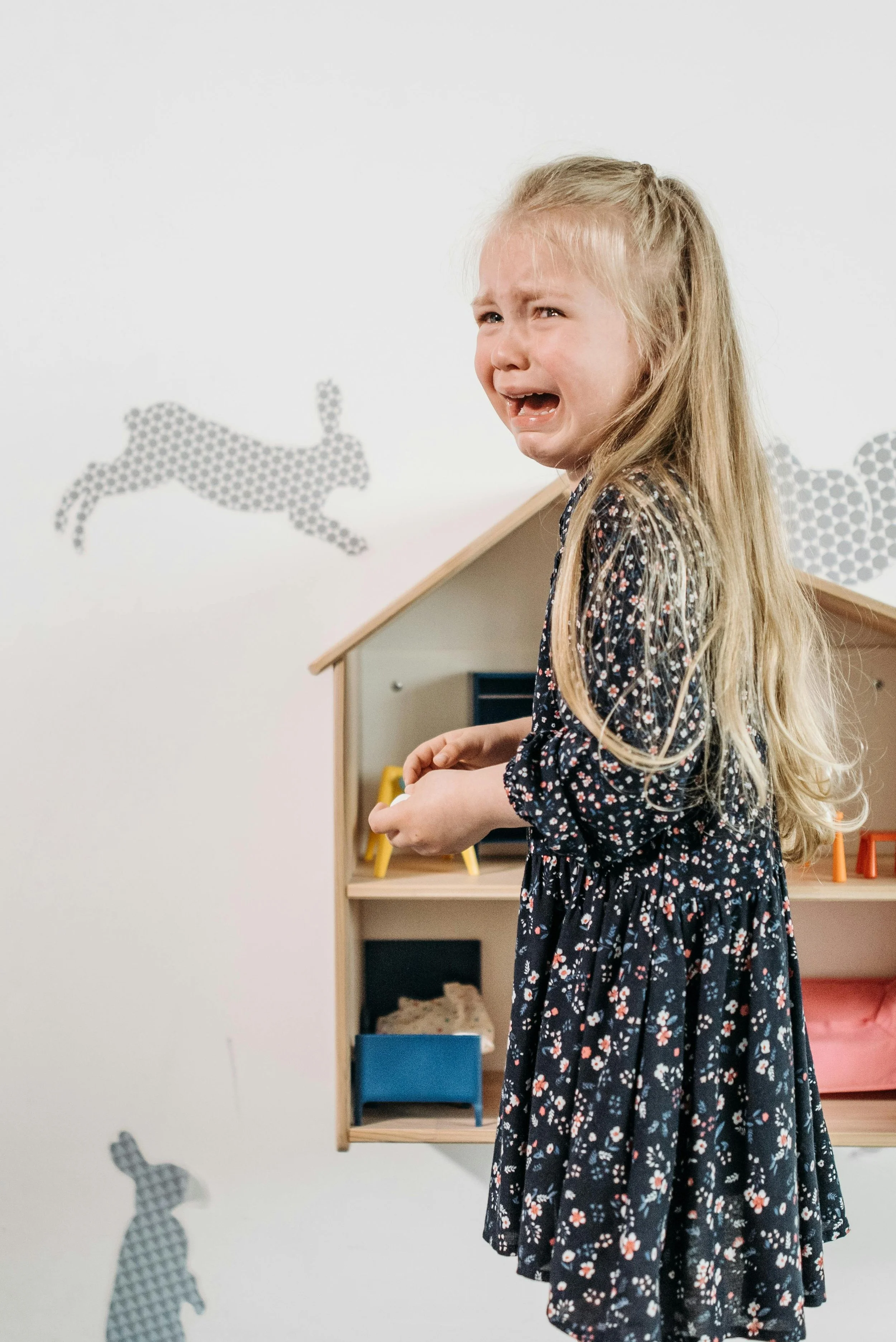 Emotional Regulation Therapy Calgary