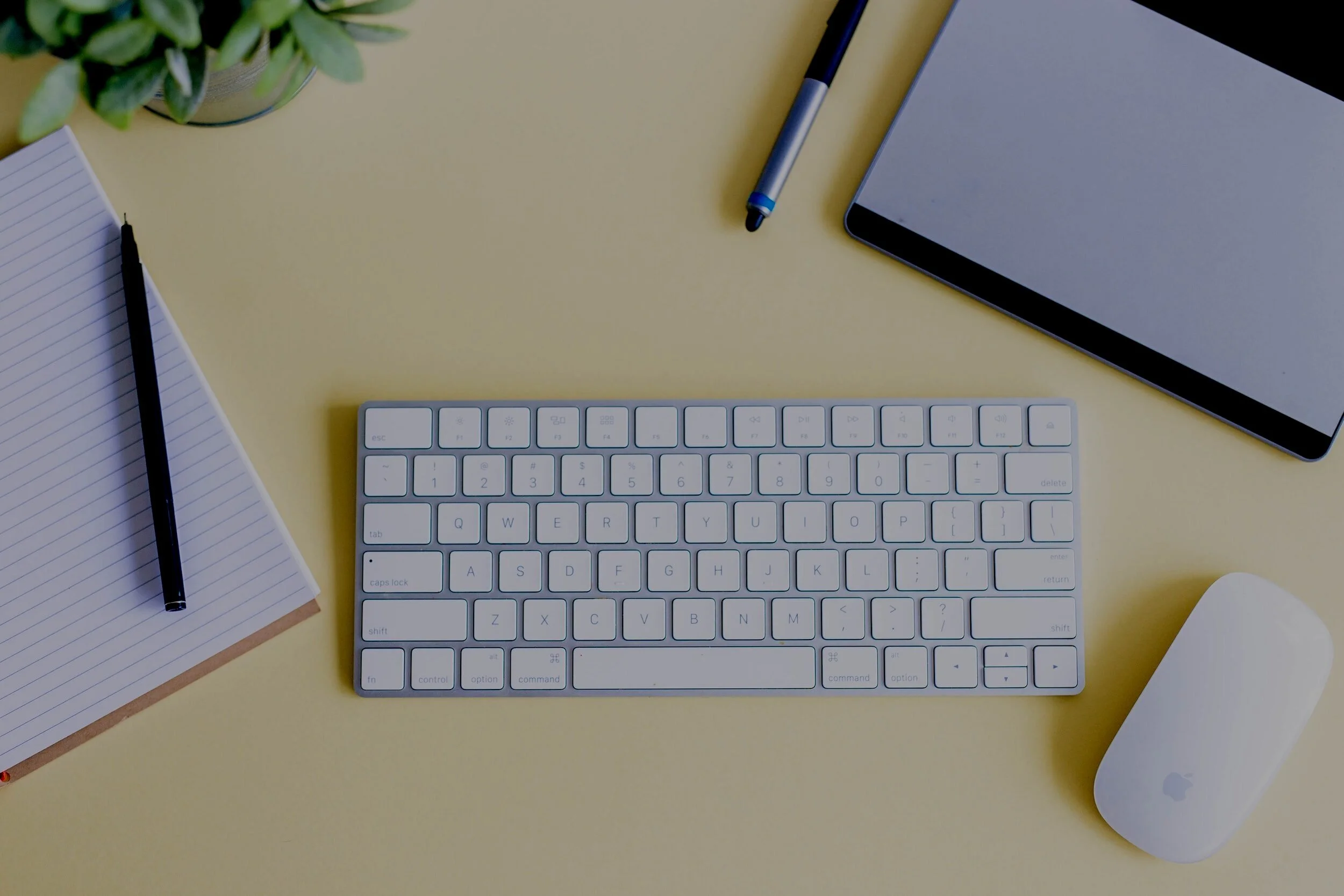 Free online adhd test for adults bluebird psychology