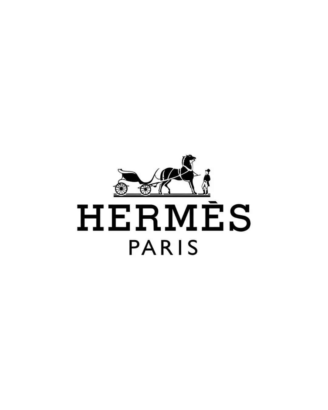 Hermes Logo