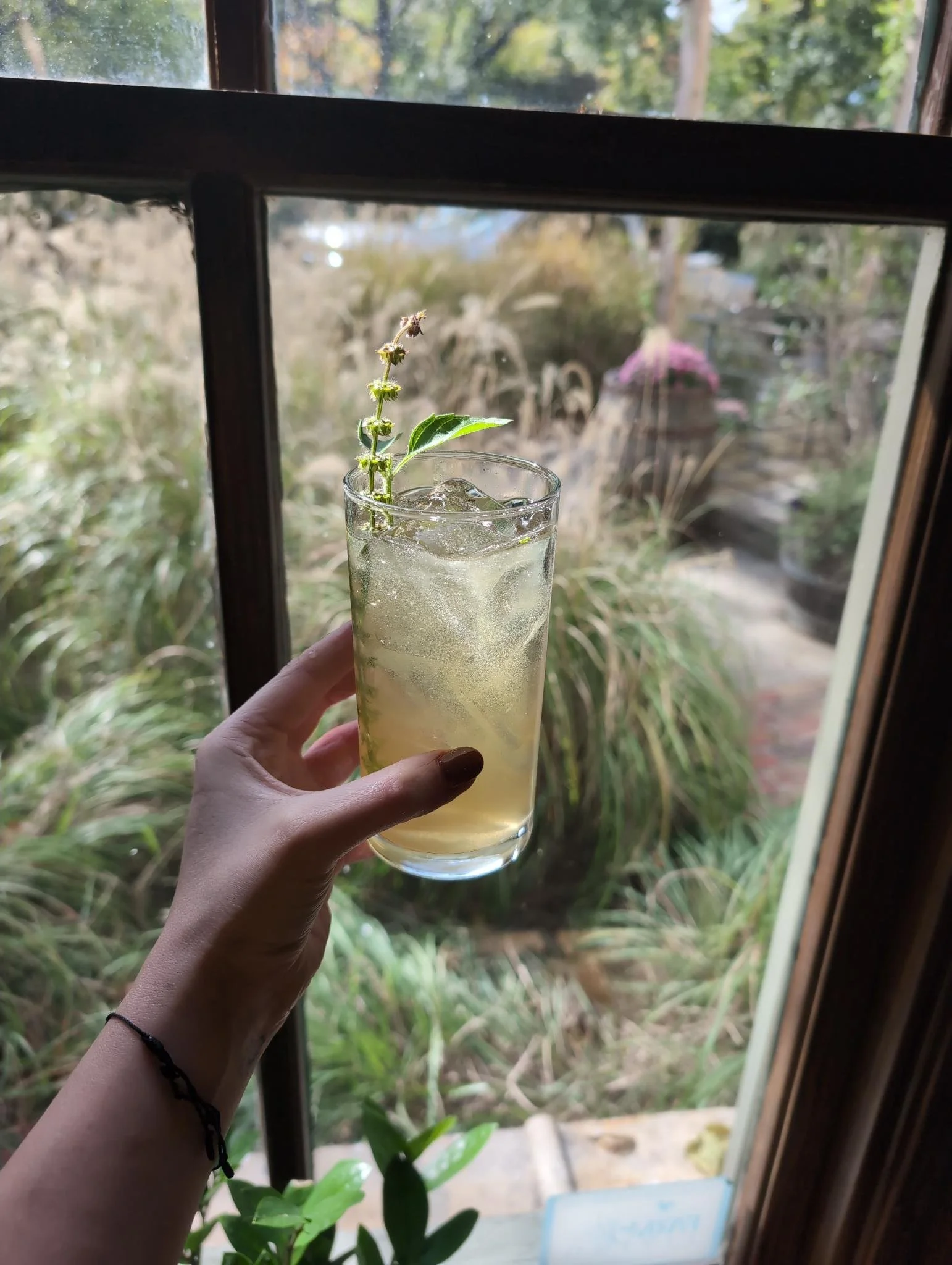 Medicinal Mocktails for Vibrant Health with Marie-Lies of Fleur and Forage, June 7