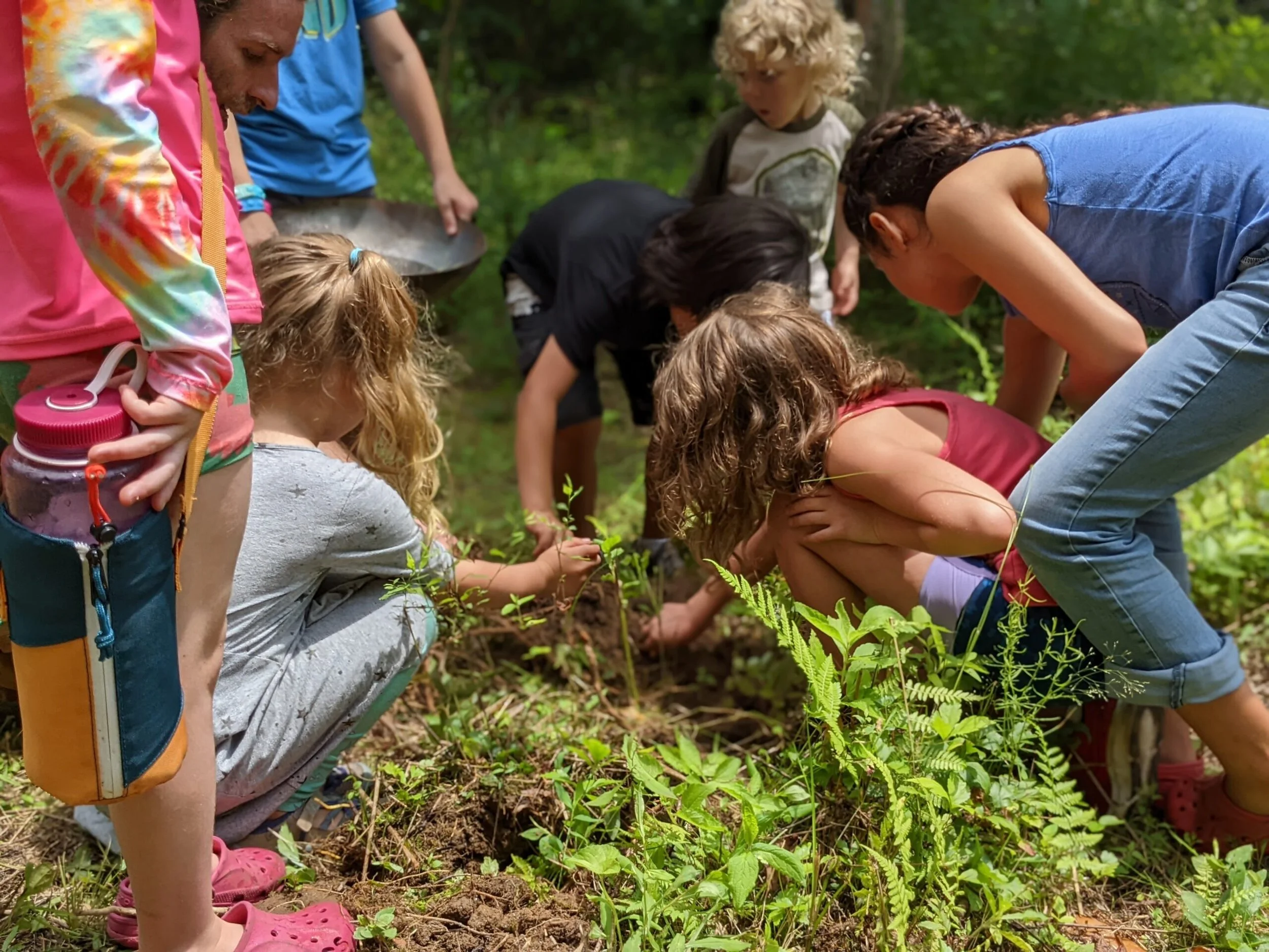 Homeschool Fridays! Herbal Playshop with Caleb Arnold, 3rd Fridays
