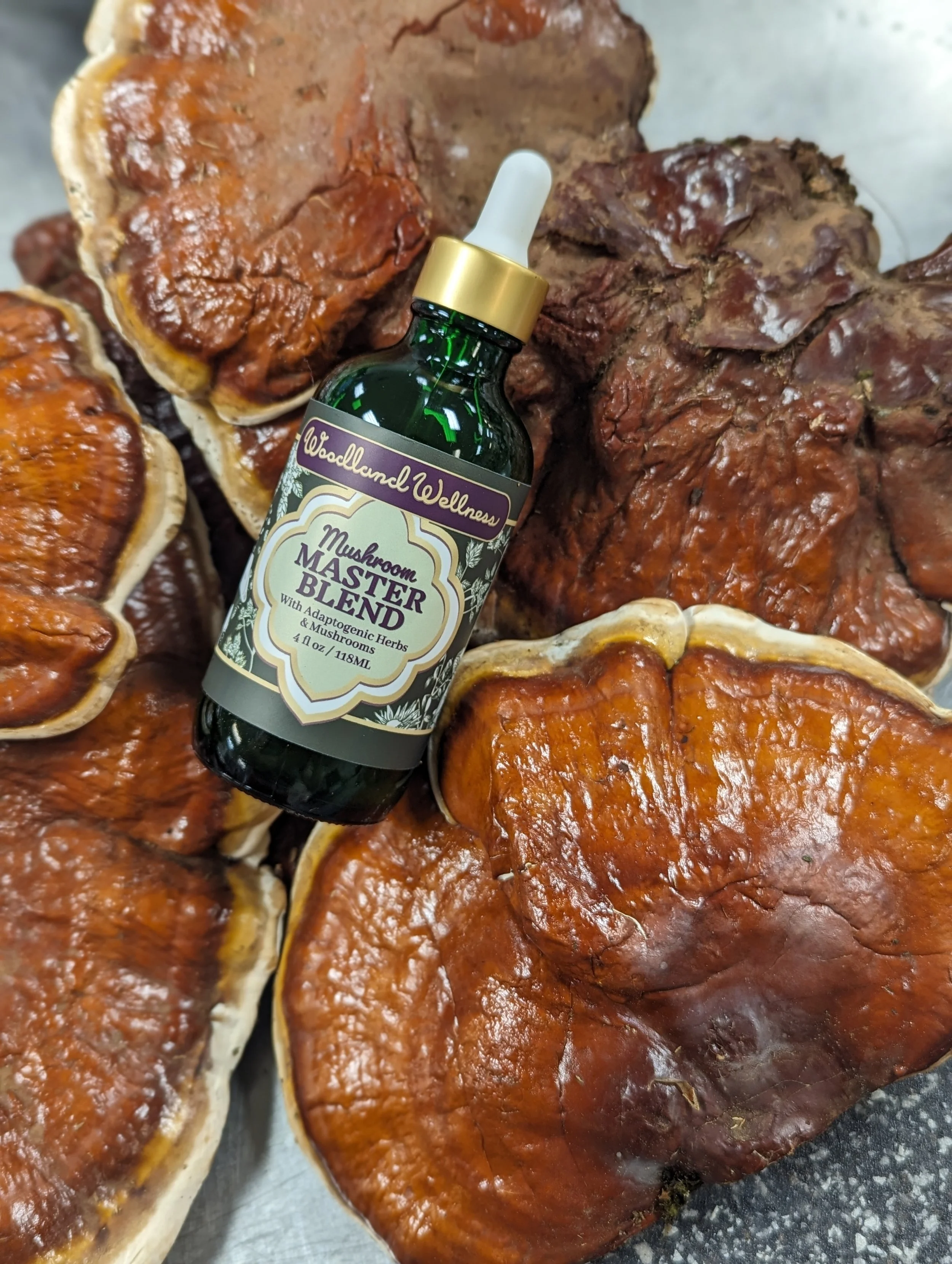 Mushroom Master Blend - Reishi Zoomed Out.jpg