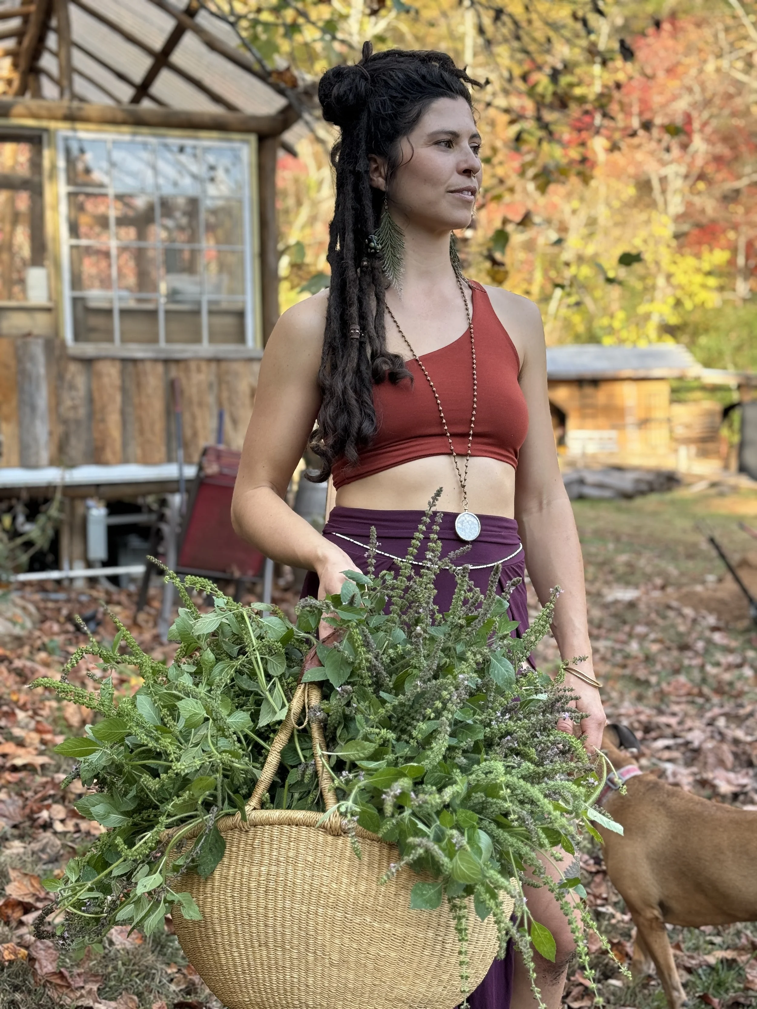 Tinctures 2.0: The Art of Herbal Formulation with Petals Bradley of Woodland Wellness