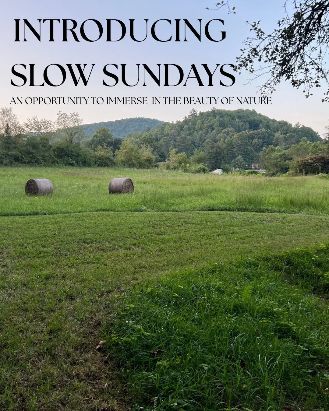 Slow Sundays