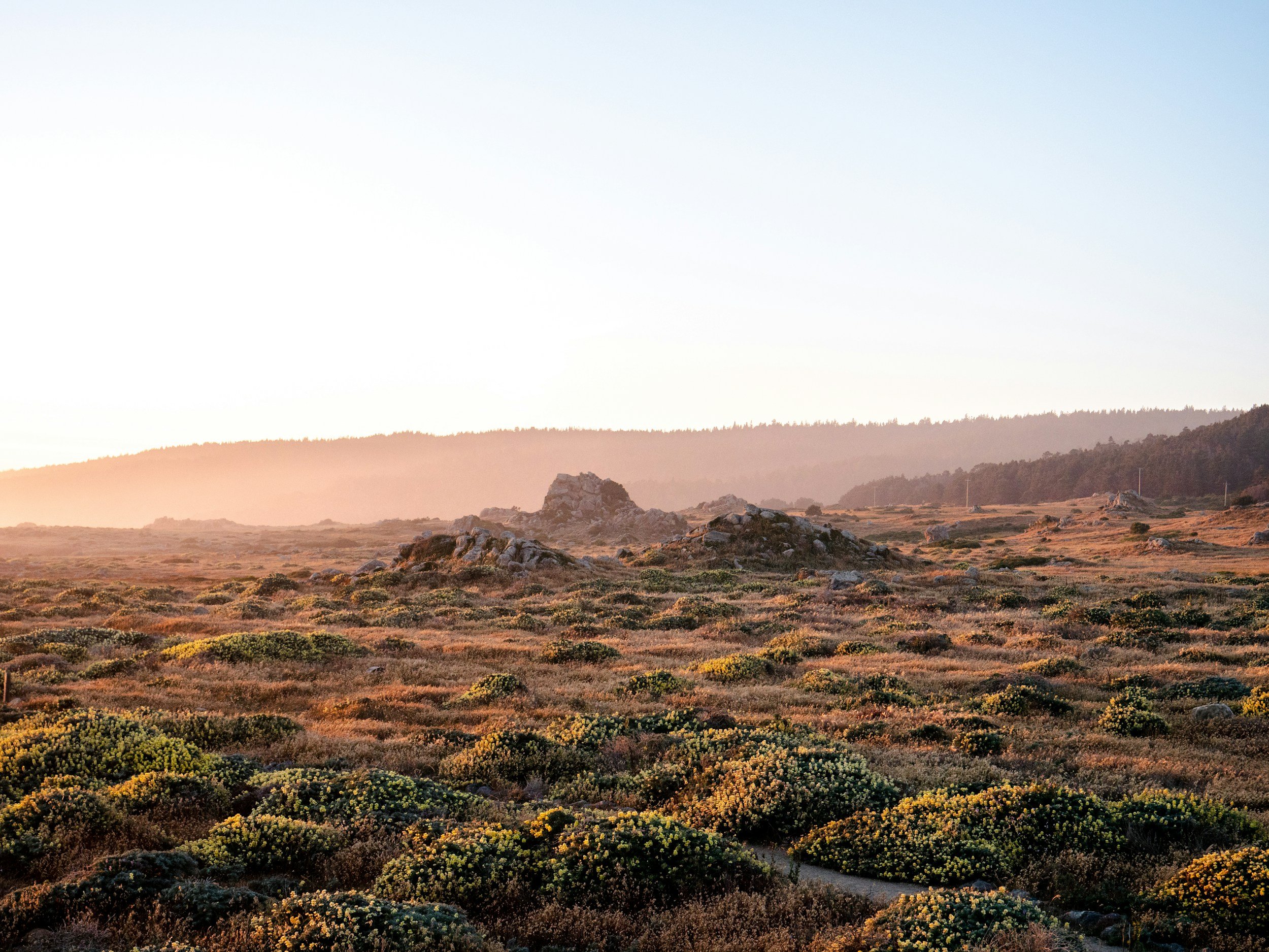 15: "Wilderness" - the word, the myth, the construct (with Erin Monahan)