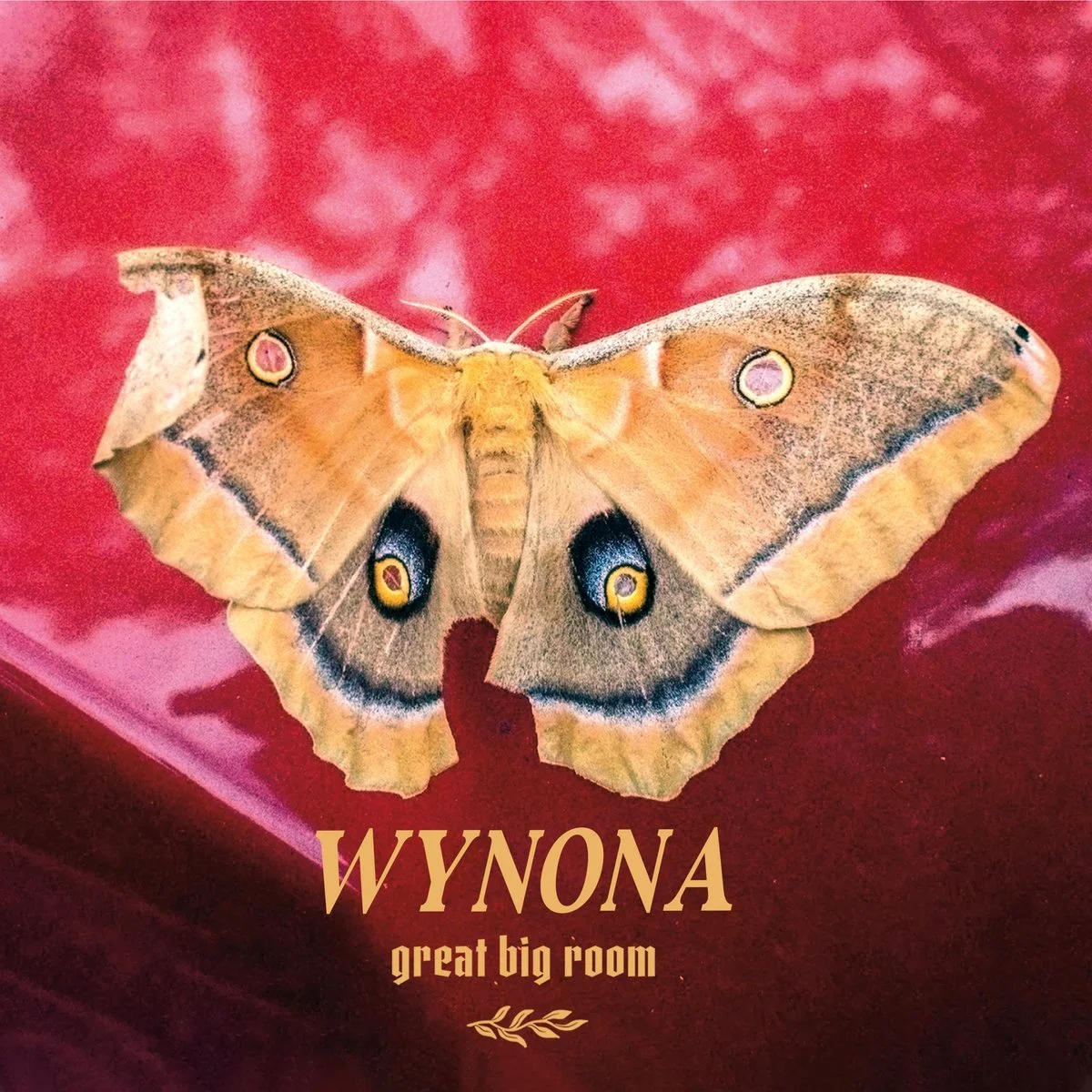 wynona great big room.jpeg