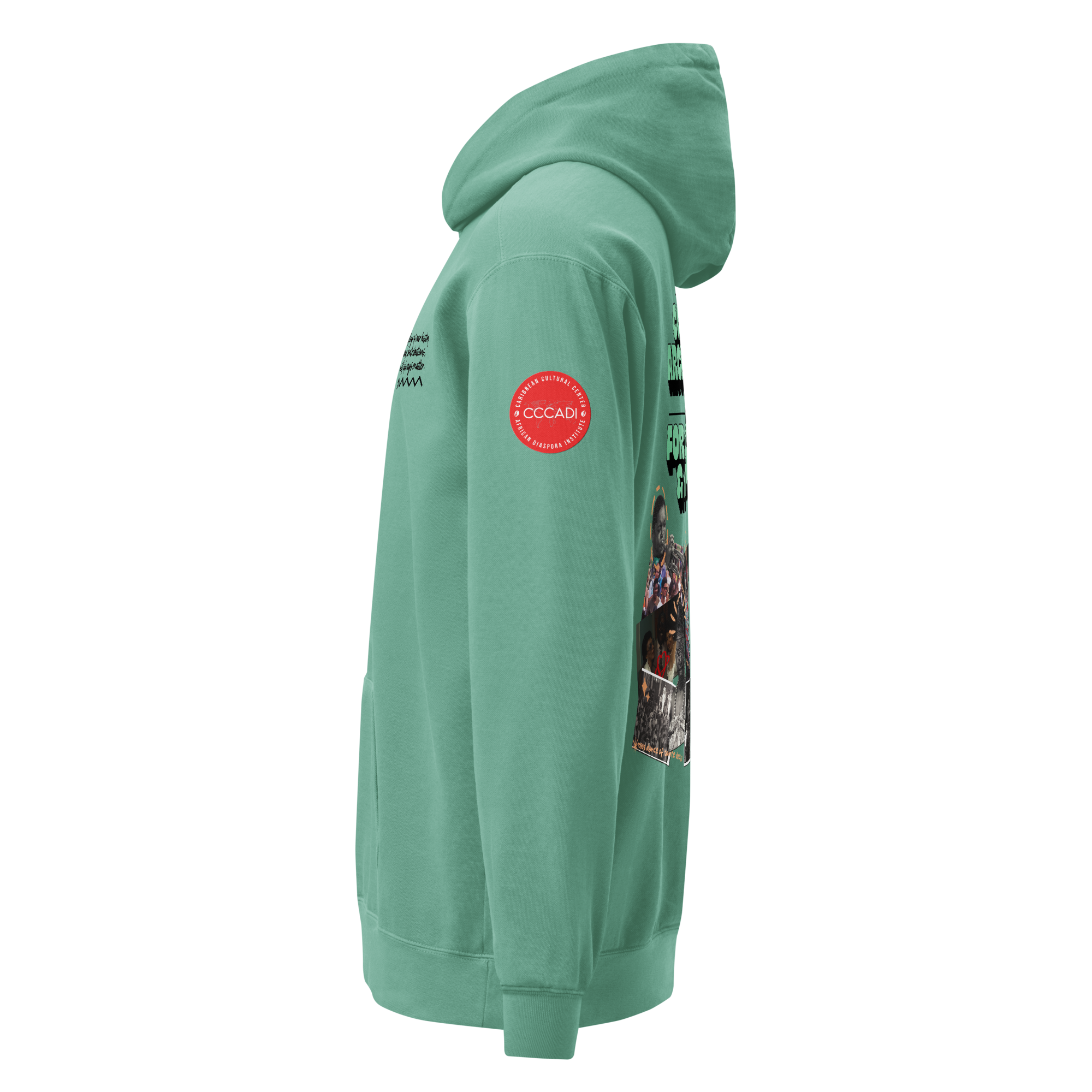 unisex-garment-dyed-hooded-sweatshirt-i-comfort-colors-1567-seafoam-left-69274b4f97b67.png