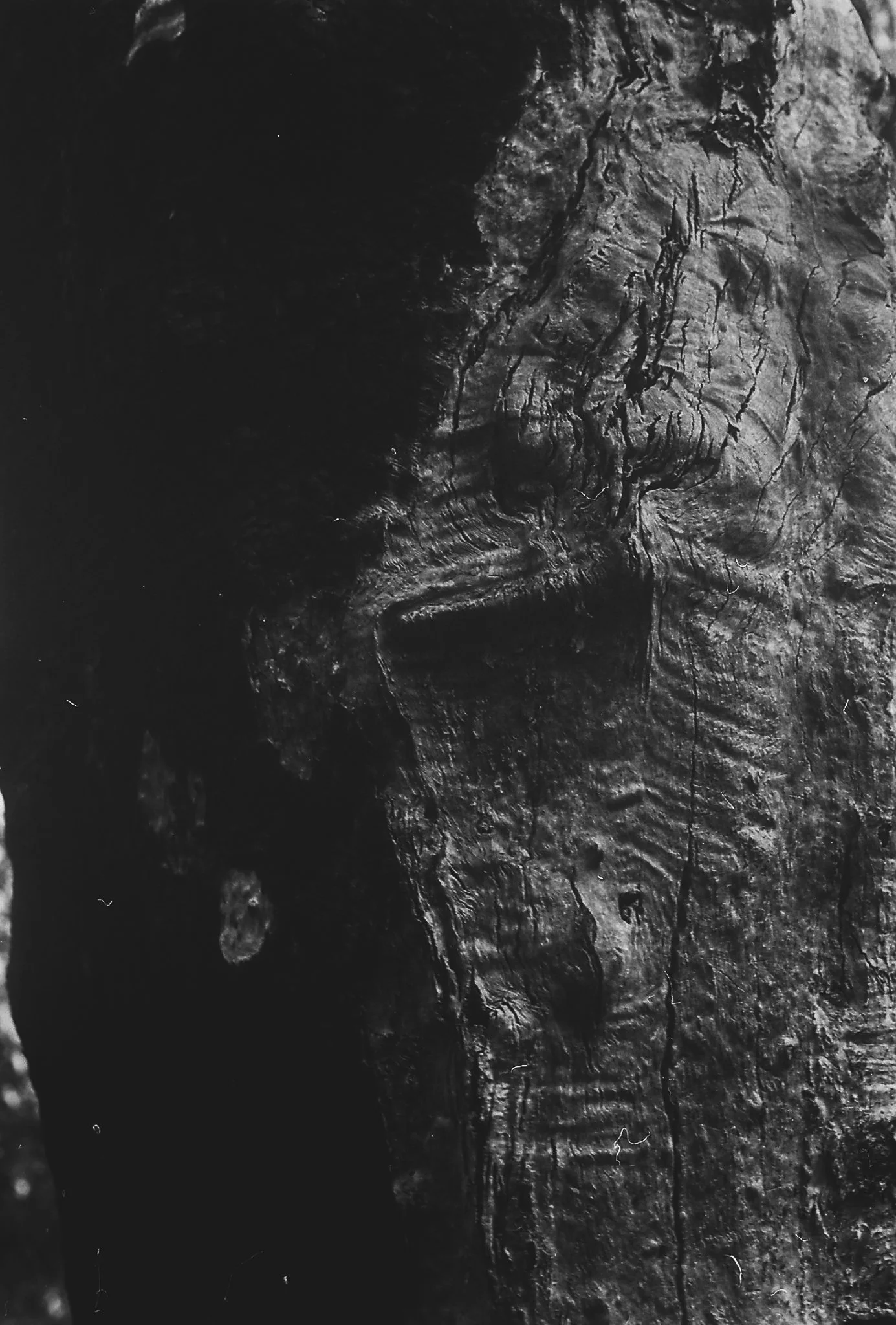 C040417-R1-07-8.jpg