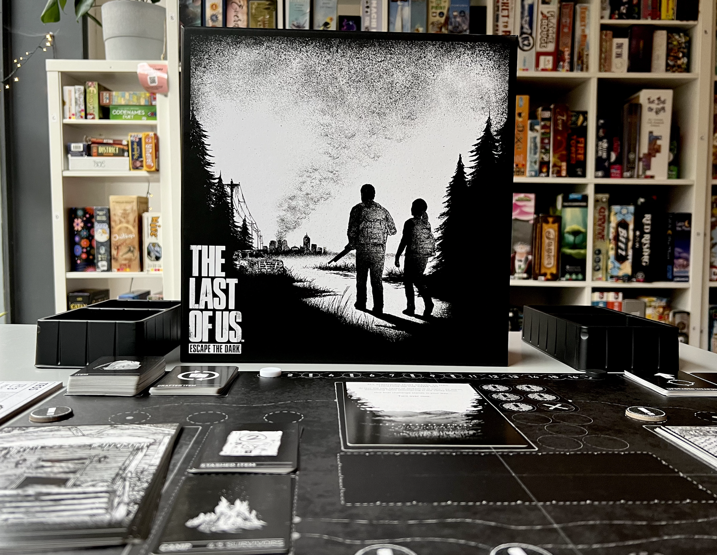 TLOU Game Box.png